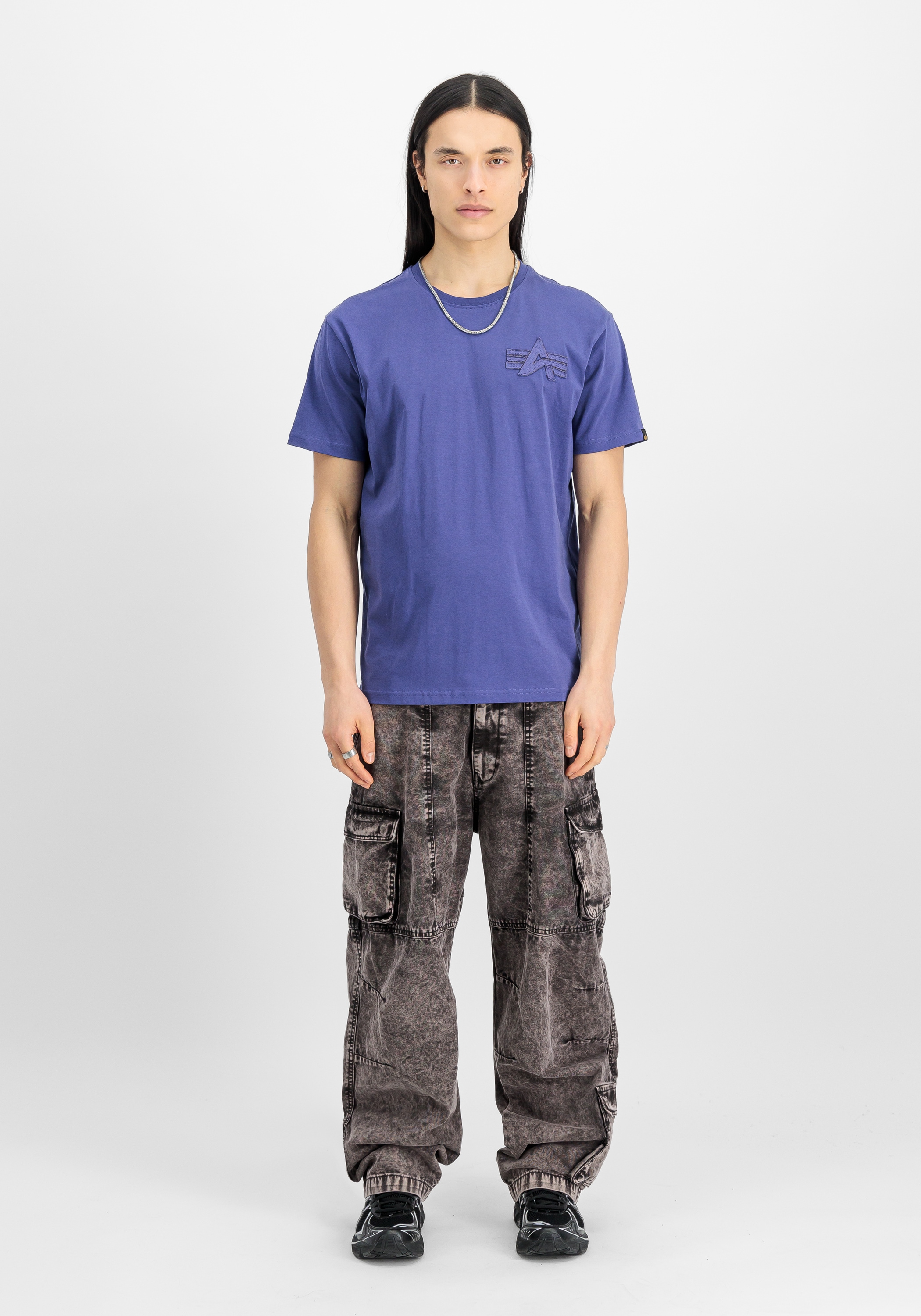 Alpha Industries T-Shirt »Coach T-Shirt Back Embroidery«