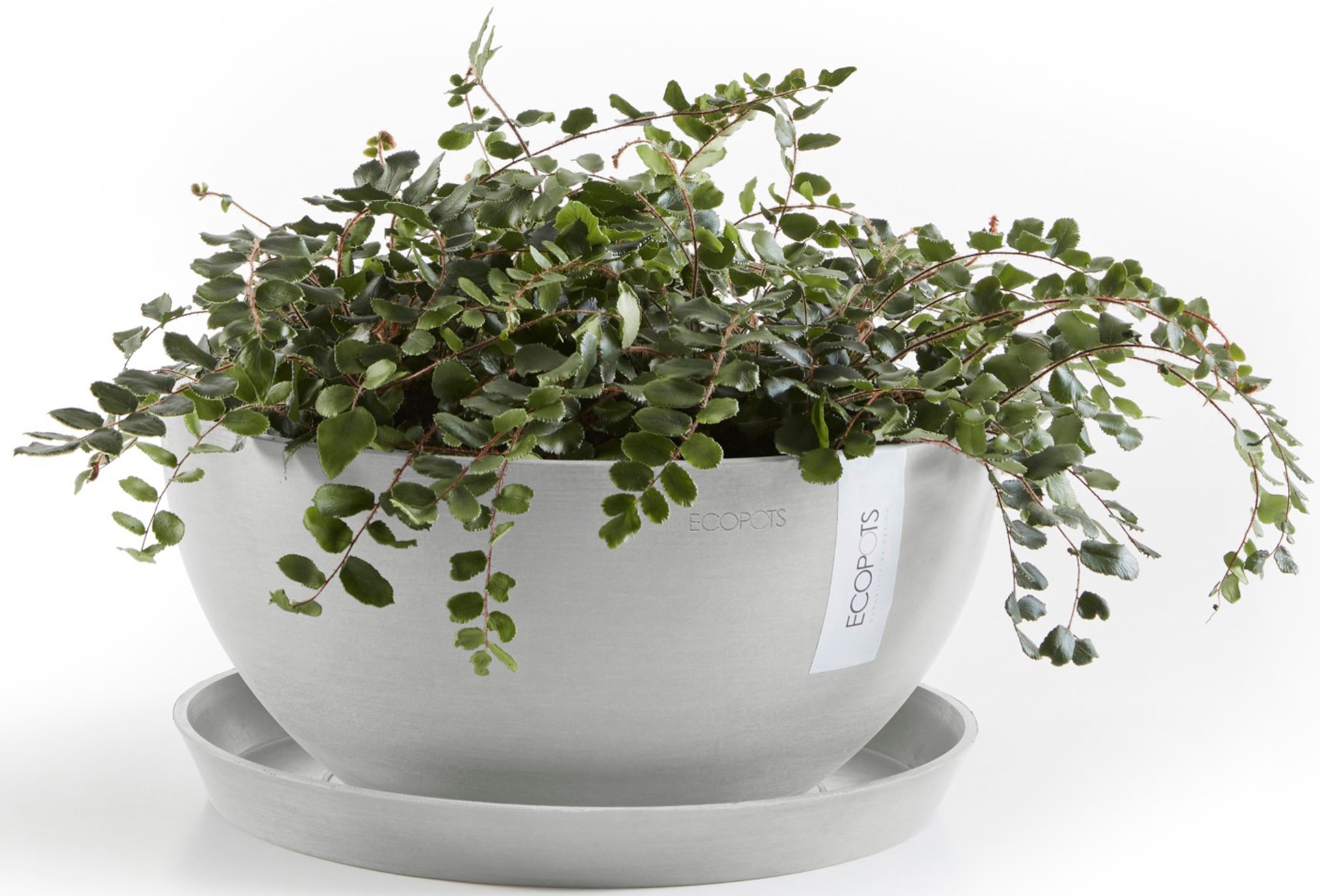 ECOPOTS Blumentopf »Brussels 35 Weißgrau«, für innen und außen: frostsicher, bruchsicher und lichtbeständig