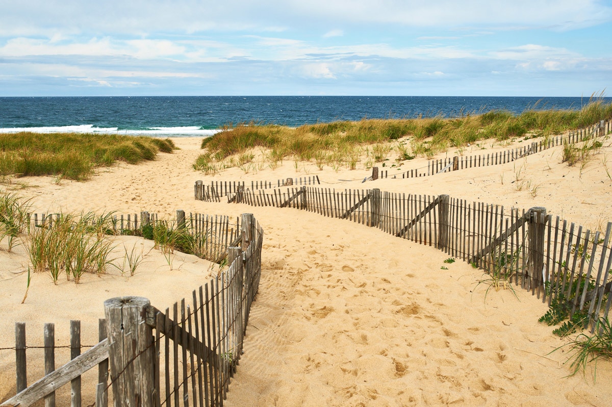 Papermoon Fototapete »Cape Cod Dünen« günstig online kaufen