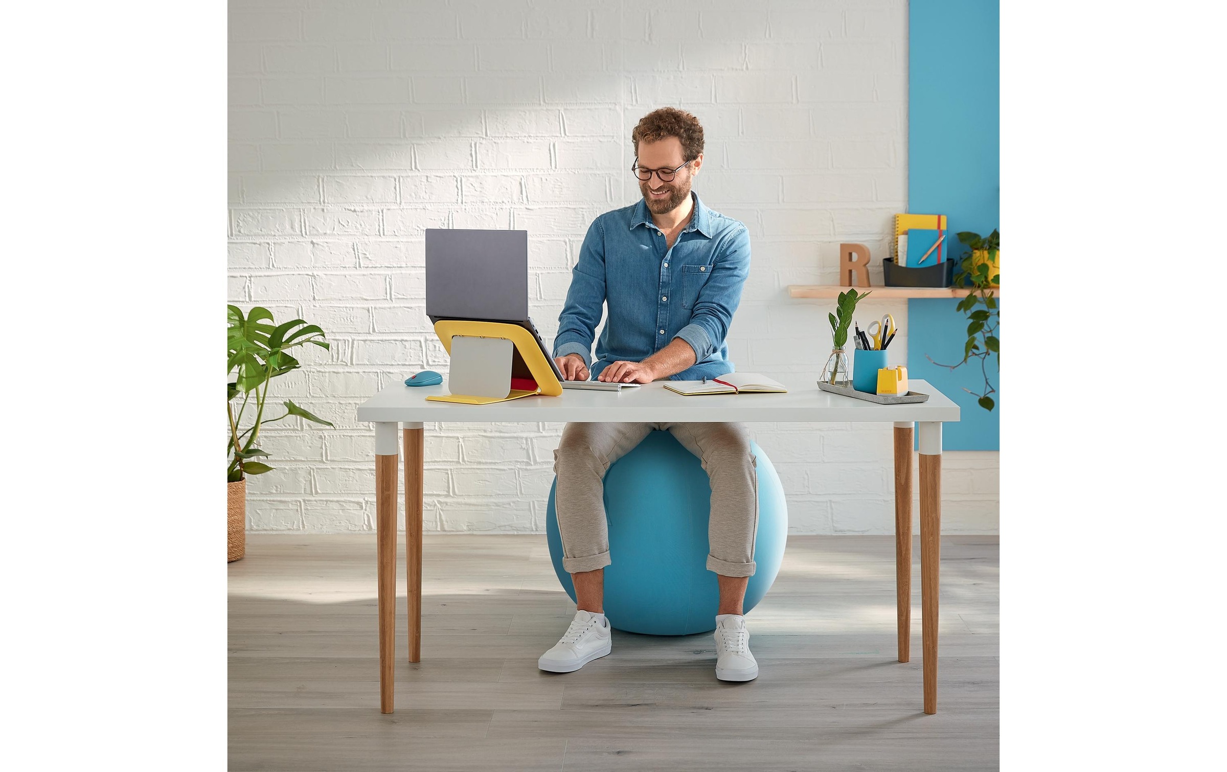 LEITZ Sitzball »Ergo Cosy«