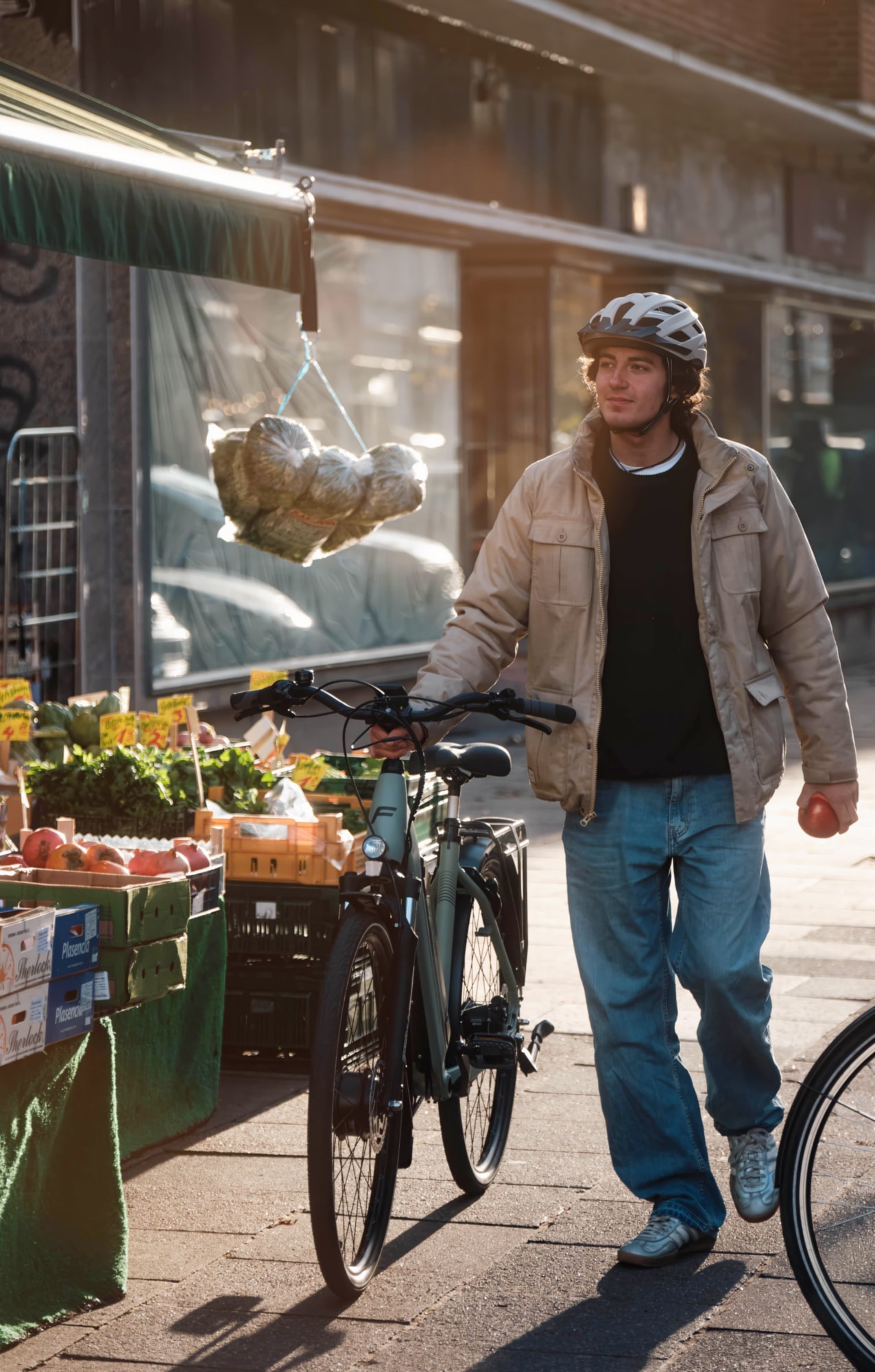 FISCHER Fahrrad »CITA 2403 459« 7 Gang Shimano NEXUS Schaltwerk Frontmotor mit Akku-Ladegerät;mit Werkzeug,  Pedelec, Elektrofahrrad für Damen und Herren