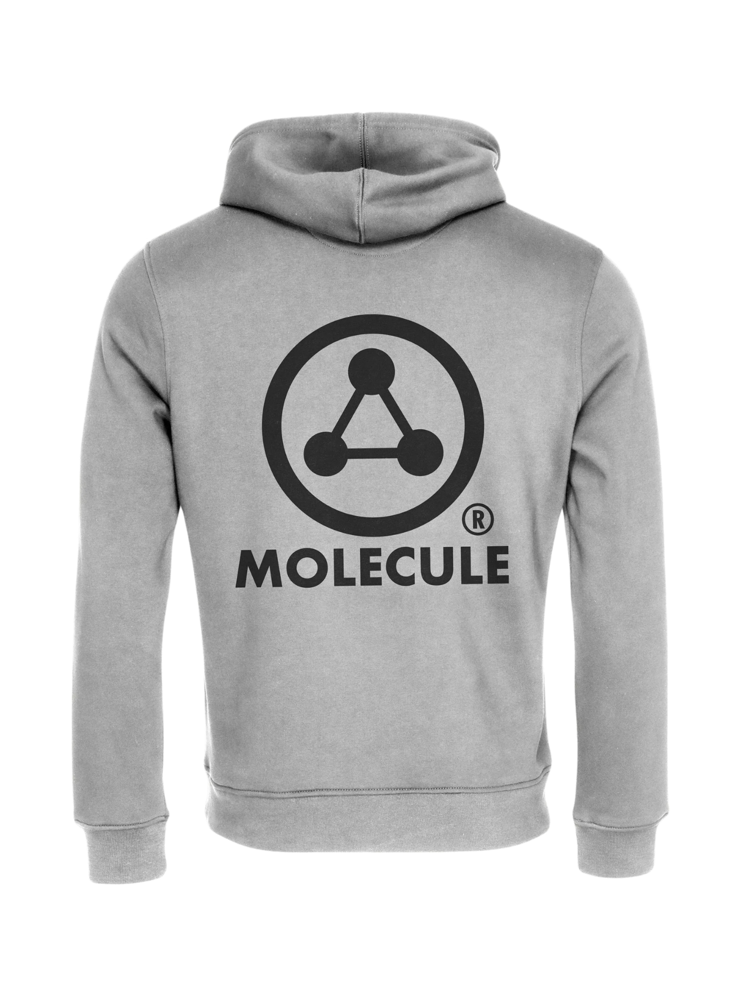 Molecule Troyer »Molecule Hoodie Heavy«