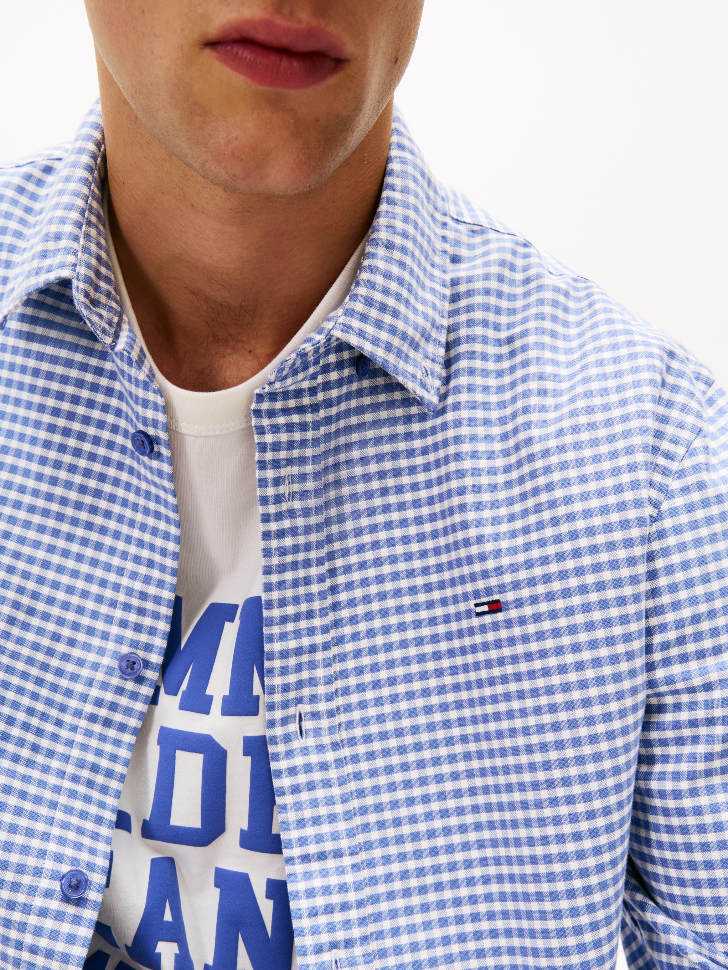 Tommy Jeans Langarmhemd »TJM OXFORD CHECK« regular fit, Karohemd, Button-down-Kragen