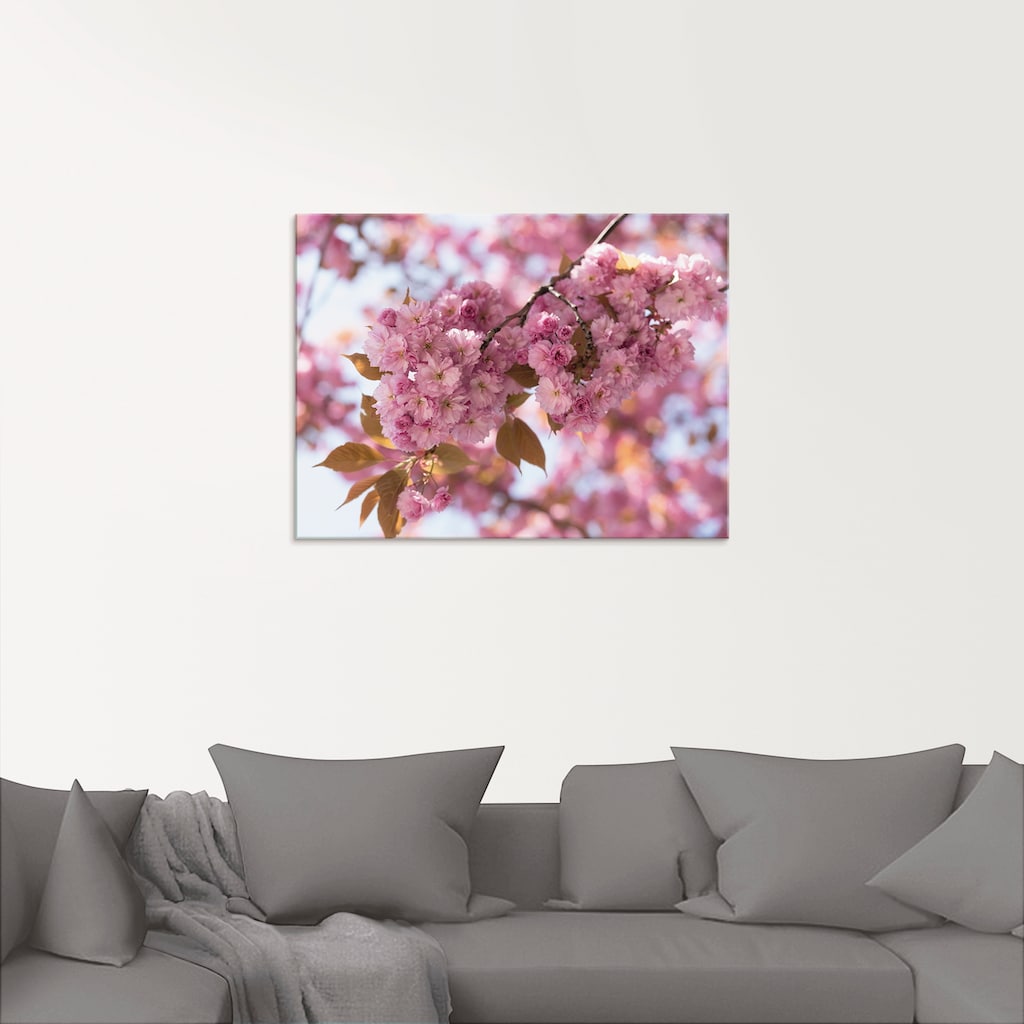 Artland Glasbild »Japanische Kirschblüte in Love I«, Blumen, (1 St.)