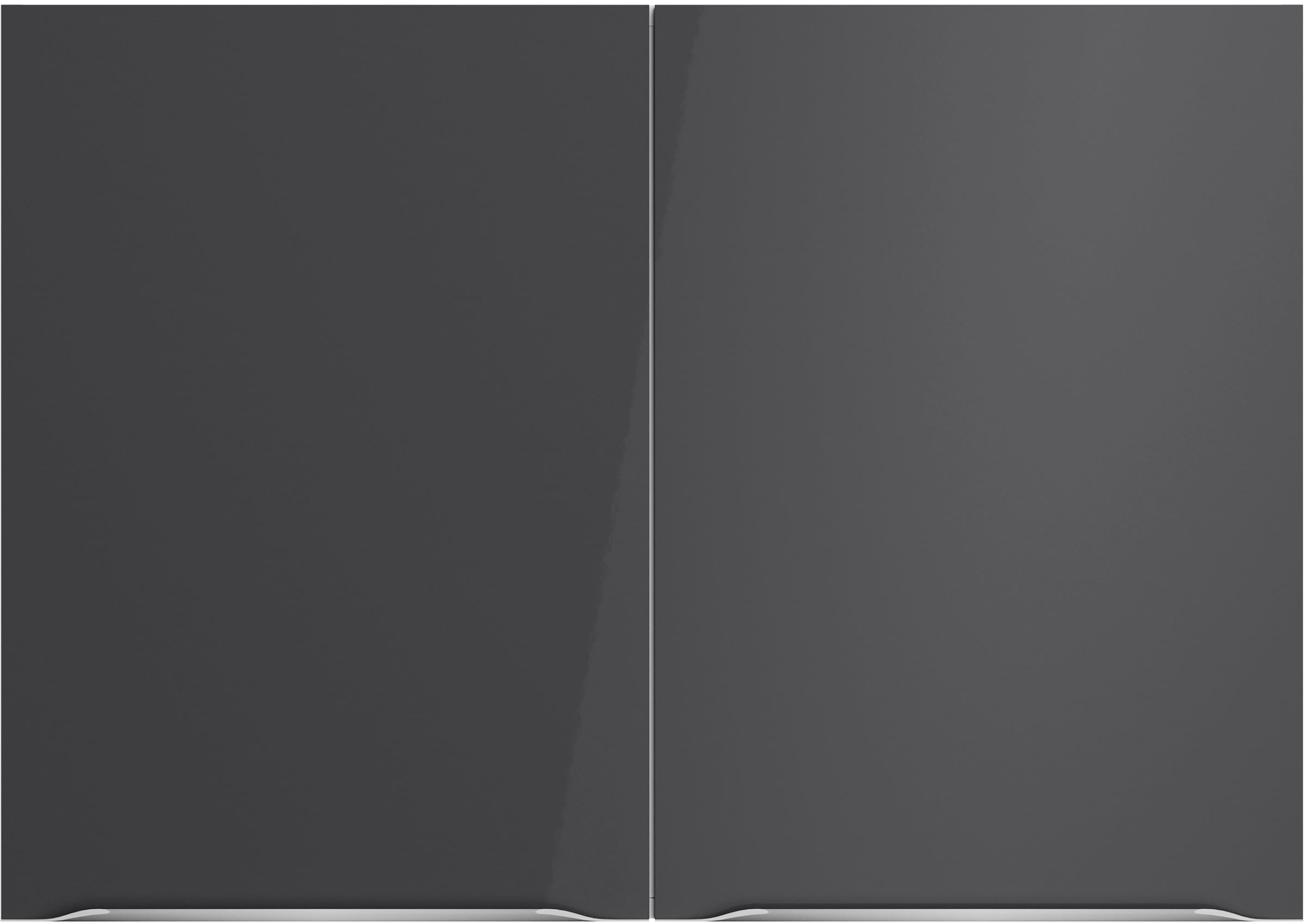 OPTIFIT Hängeschrank »Lilly2«, Breite 100 cm, 2 Türen, 4 Einlegeböden