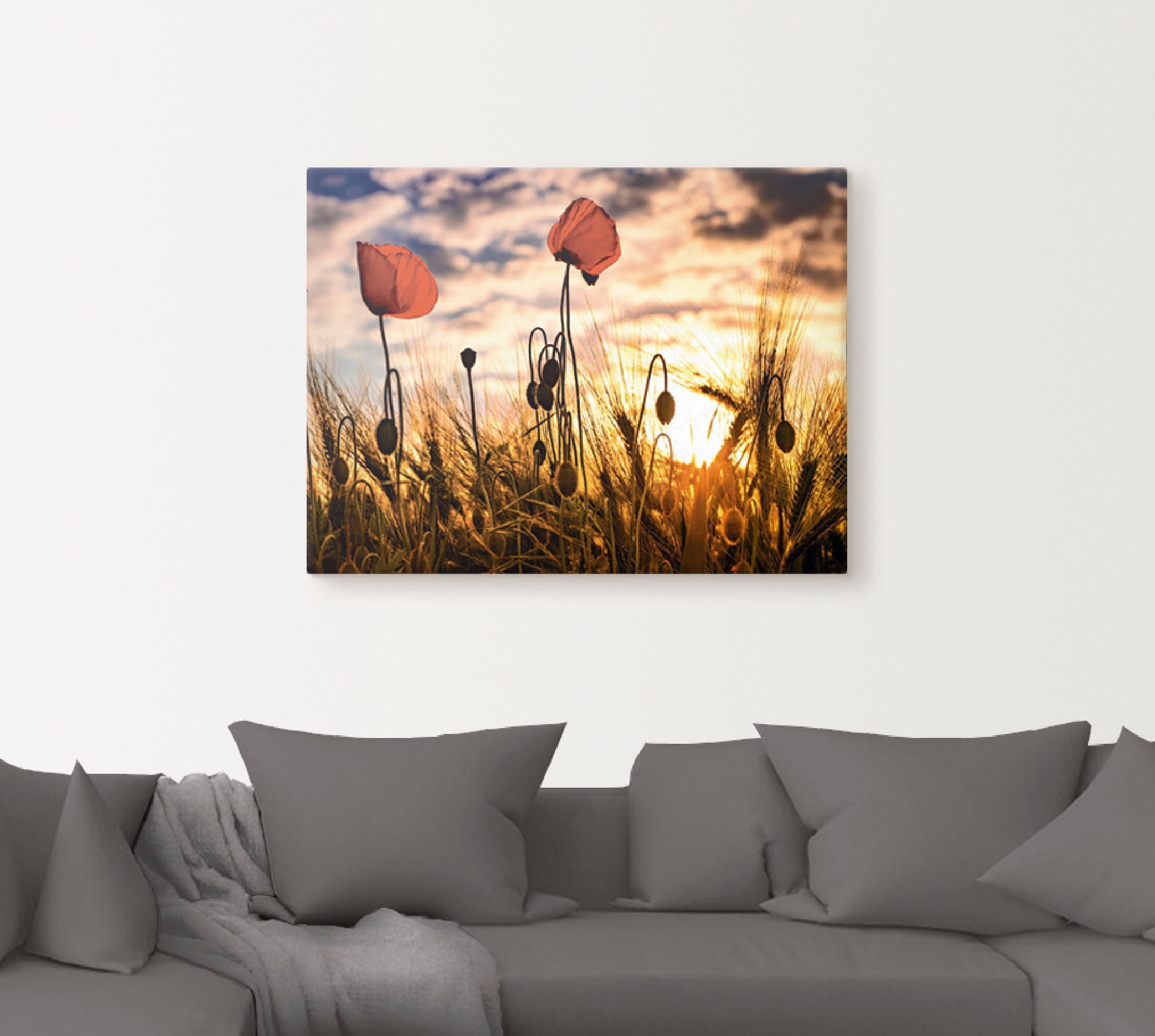 Artland Wandbild »Mohnblumen im Sonnenuntergang« 1 Stk. tlg. als Alubild, O günstig online kaufen