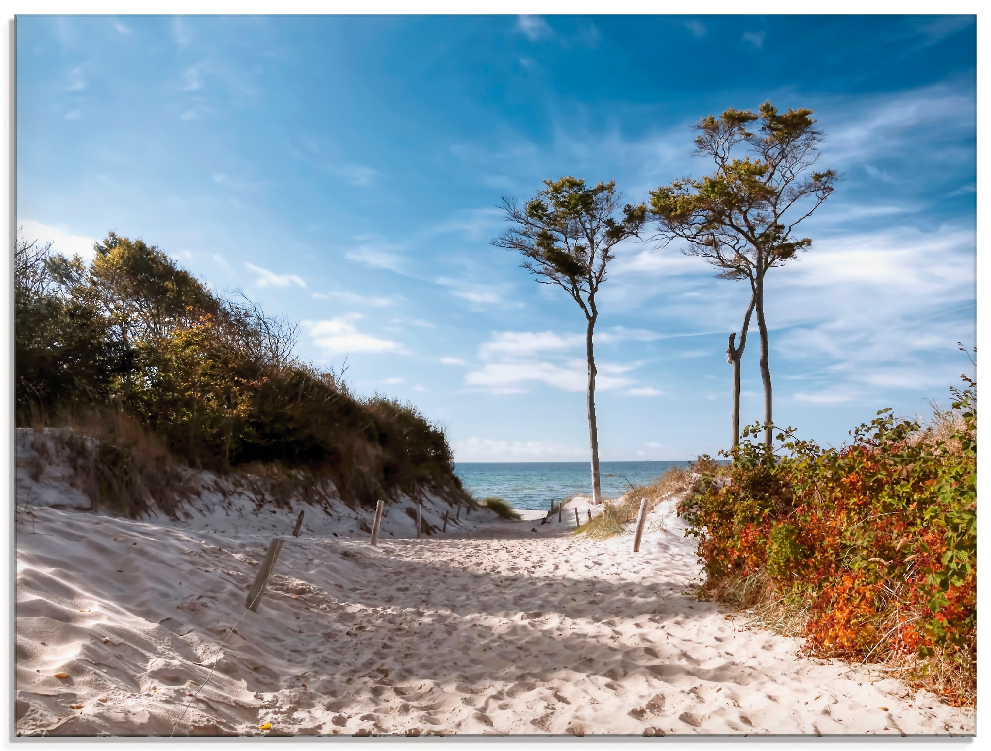 Artland Glasbild »Weststrand Darss«, Strand, (1 St.), in verschiedenen Größ günstig online kaufen