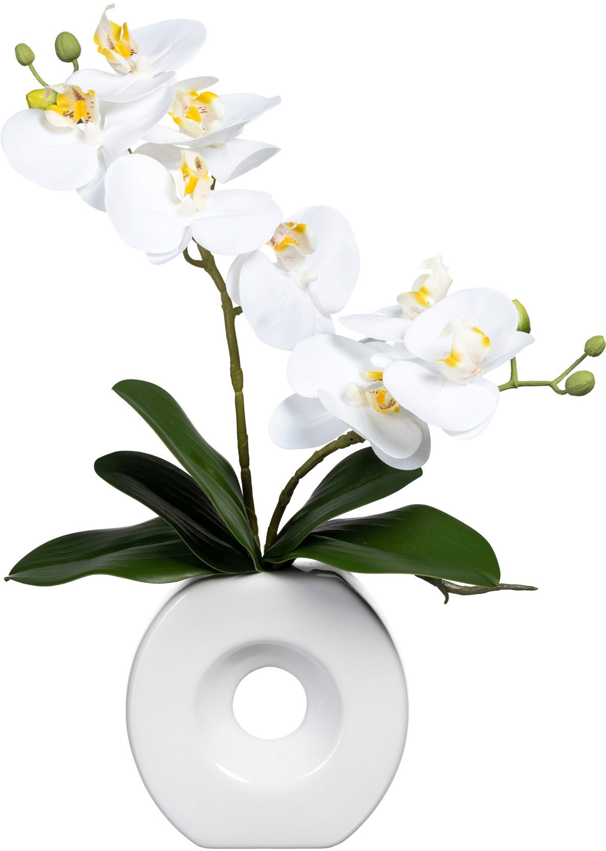 Creativ green Kunstorchidee »Phalaenopsis«, in Keramikvase