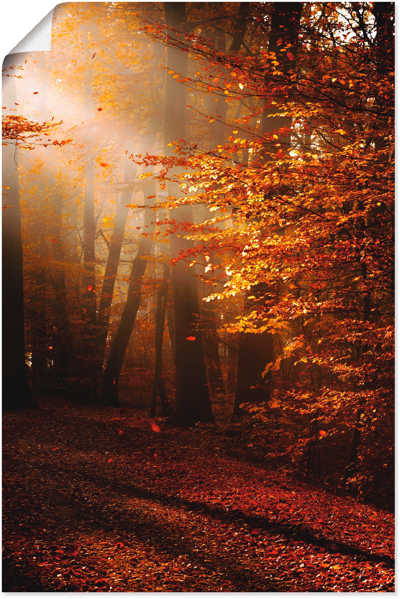 Artland Wandbild "Sonnenaufgang im Herbst", Wald, (1 St.), als Leinwandbild günstig online kaufen