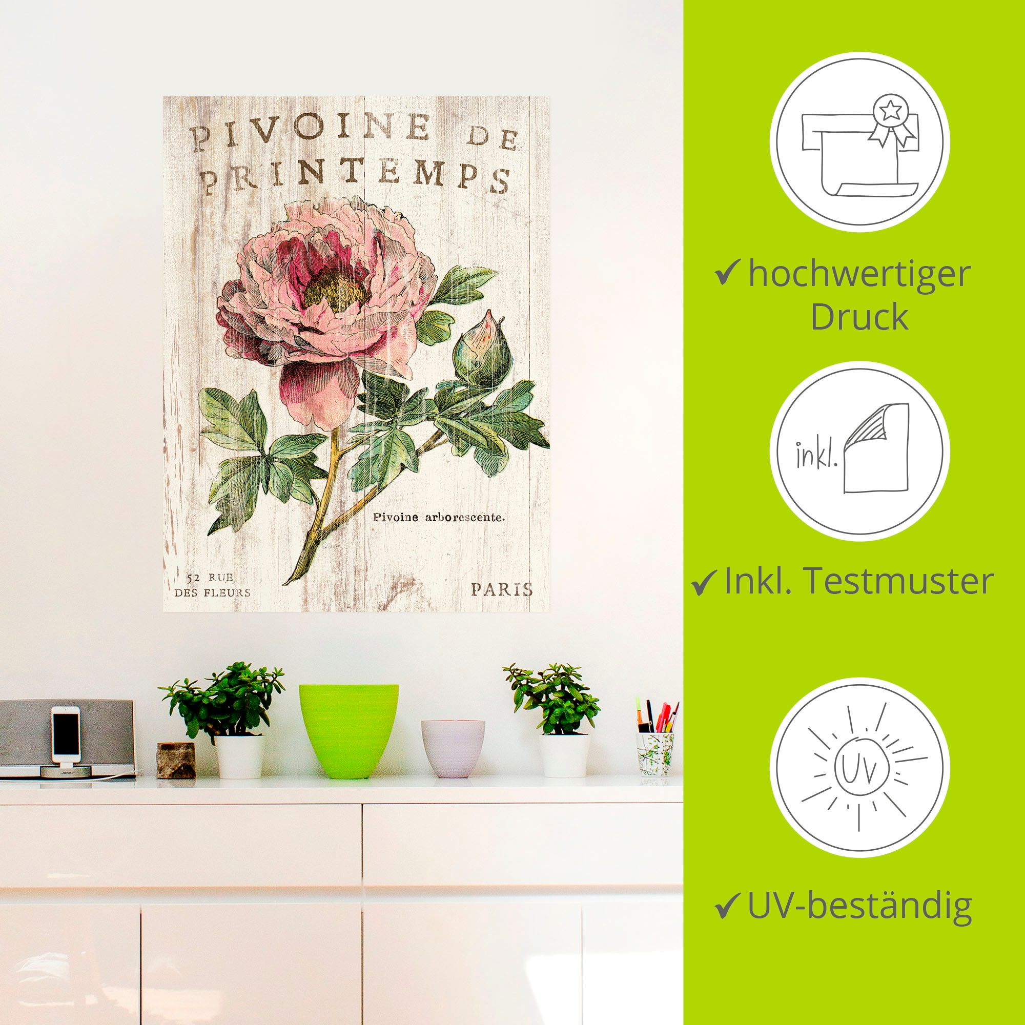 Artland Wandbild »Pfingstrose«, Blumen, (1 St.), als Leinwandbild, Poster, Wandaufkleber in verschied. Größen