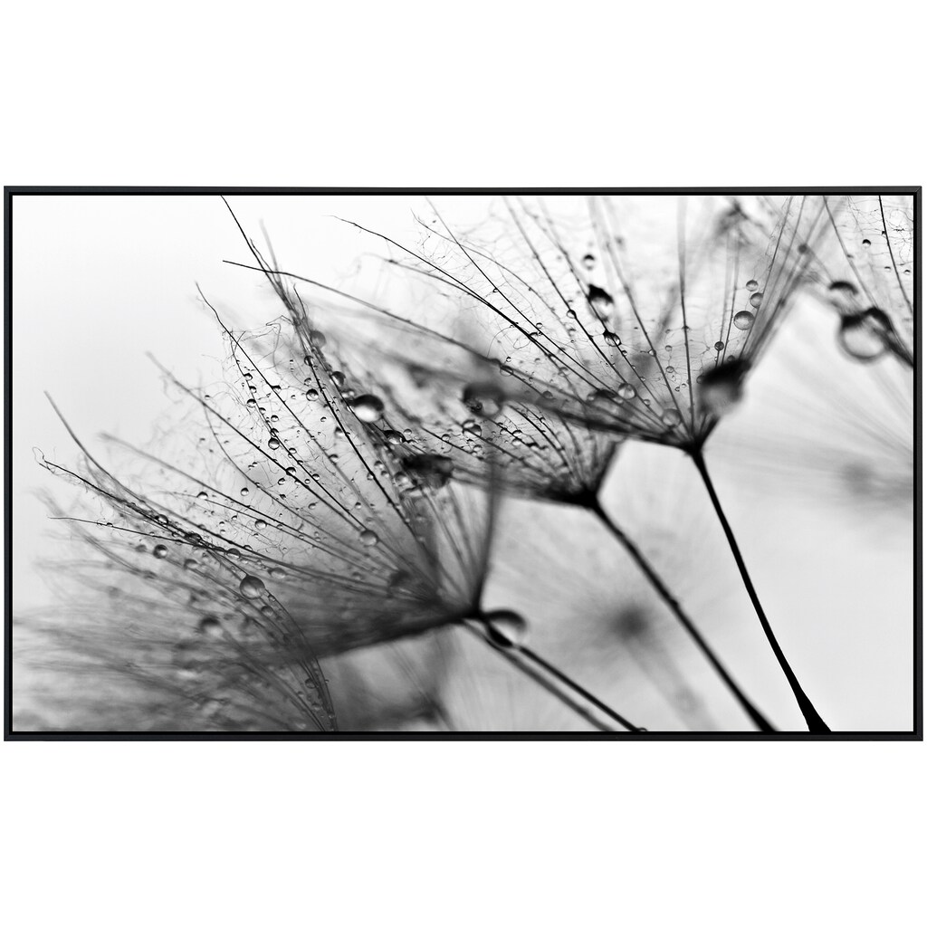 Papermoon Infrarotheizung »Blumen Schwarz & Weiß«