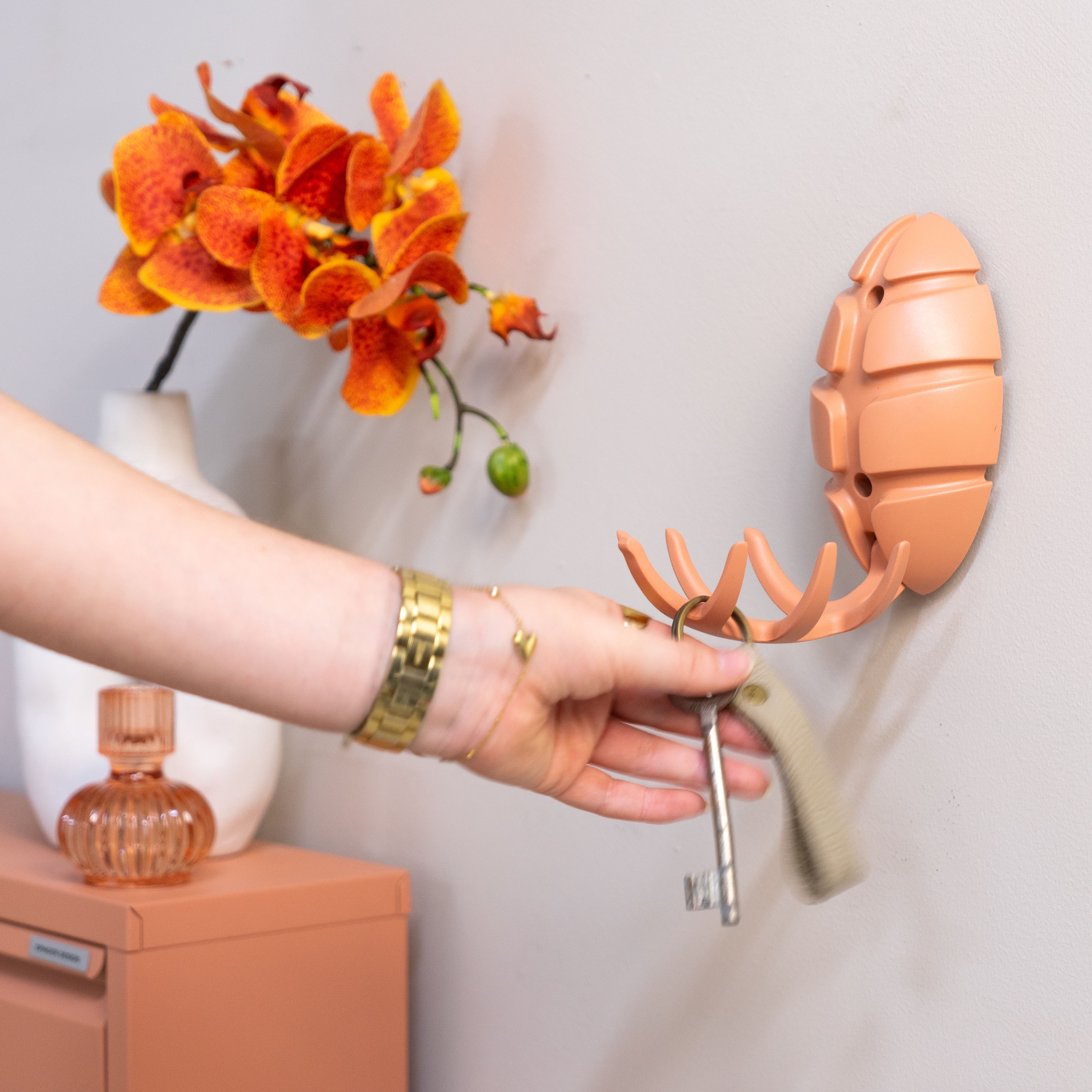 Spinder Design Garderobenhaken »BUG« Design-Garderobe aus recyceltem ABS und mit klappbaren Haken