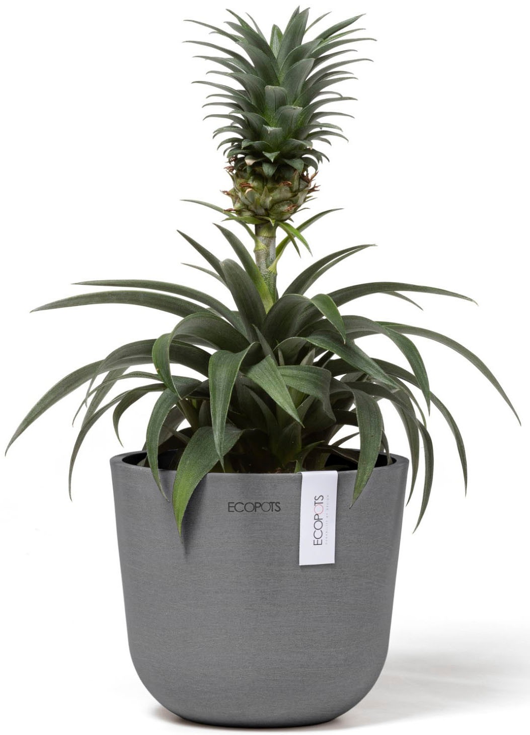 ECOPOTS Blumentopf »Oslo Mini 16 Grau« für den Innenbereich