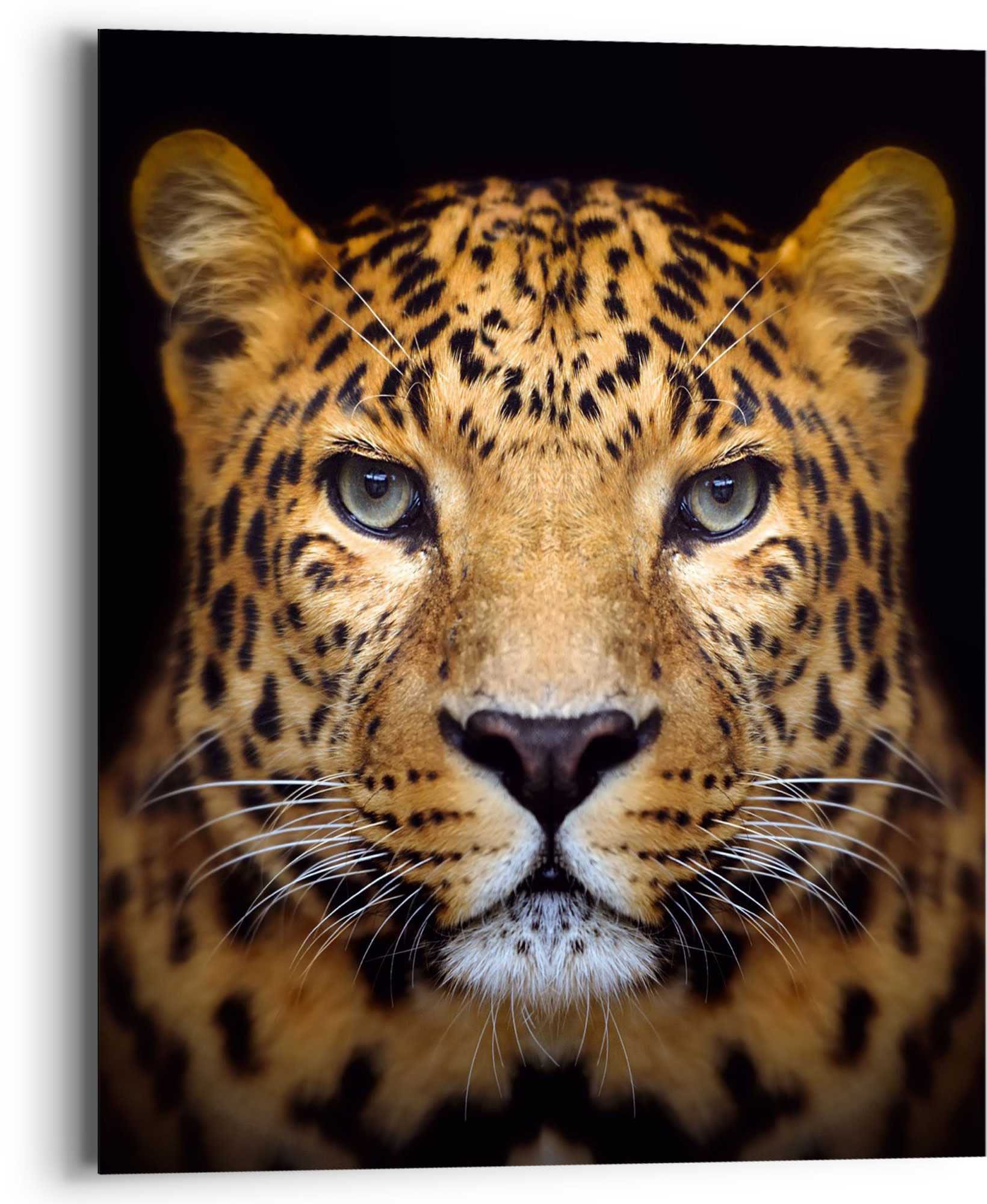 Leopard, »Wandbild (1 - Panther Kräftig St.) - Wandbild bestellen Gefleckt«, Leopard Reinders! Raubetier auf Rechnung -