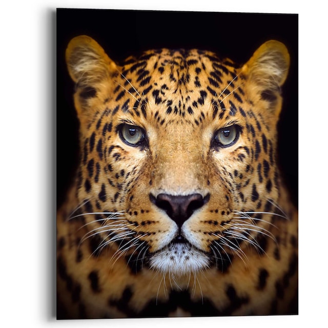 Reinders! Wandbild »Wandbild Leopard Kräftig - Panther - Raubetier -  Gefleckt«, Leopard, (1 St.) auf Rechnung bestellen