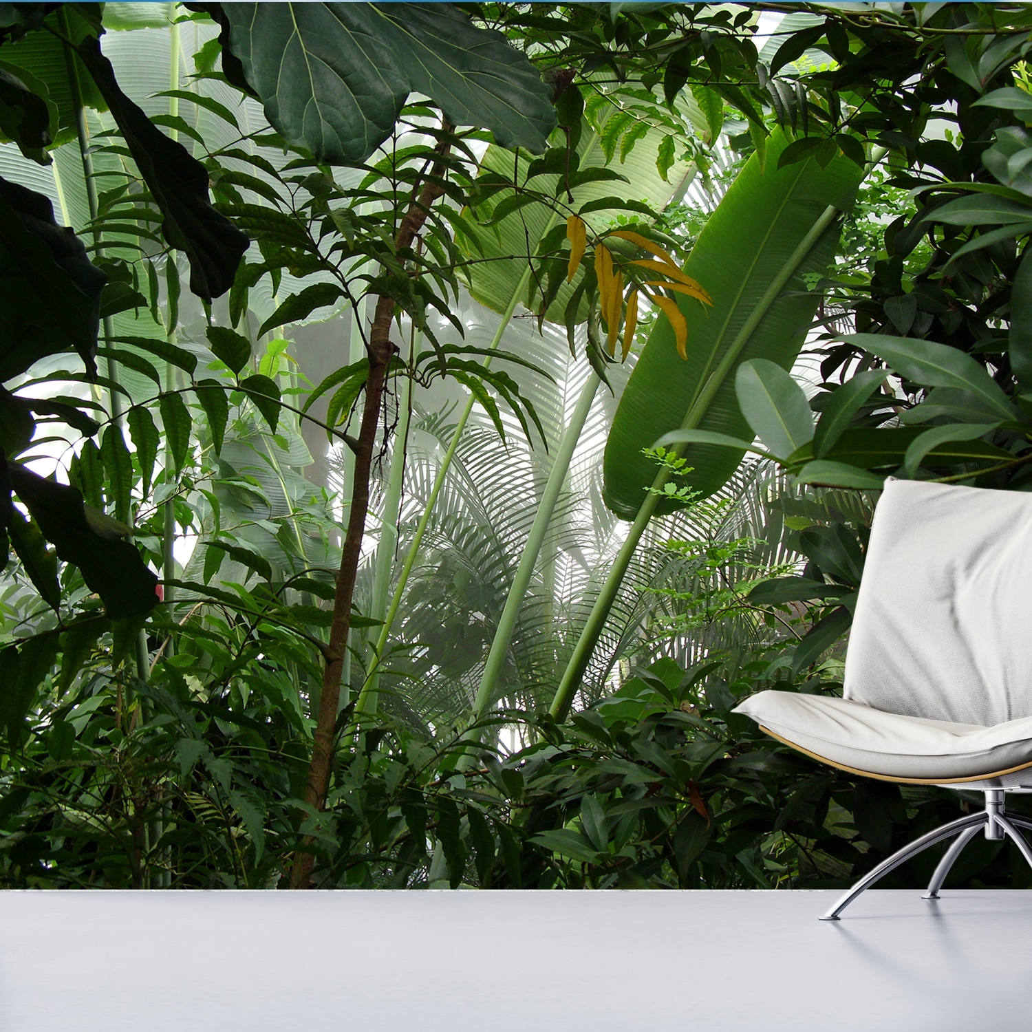 queence Fototapete »Dschungel«, bedruckt-Motiv-natürlich-realistisch-tropisch-Wald, Wandpaneele, selbstklebend, Tapete, Sticker, Wanddeko, XXL-Fotomotiv