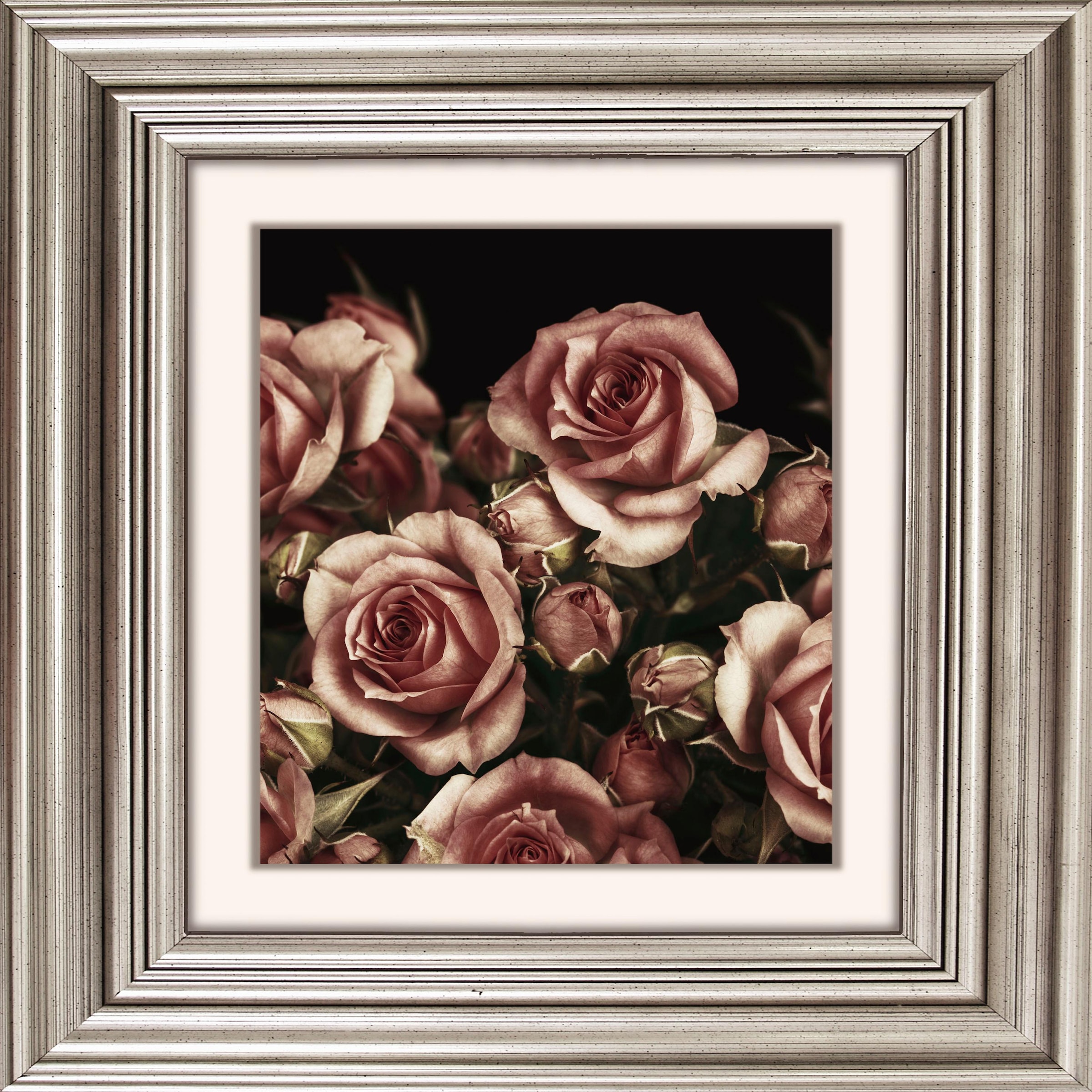 queence Acrylglasbild »Rosen Blüten«