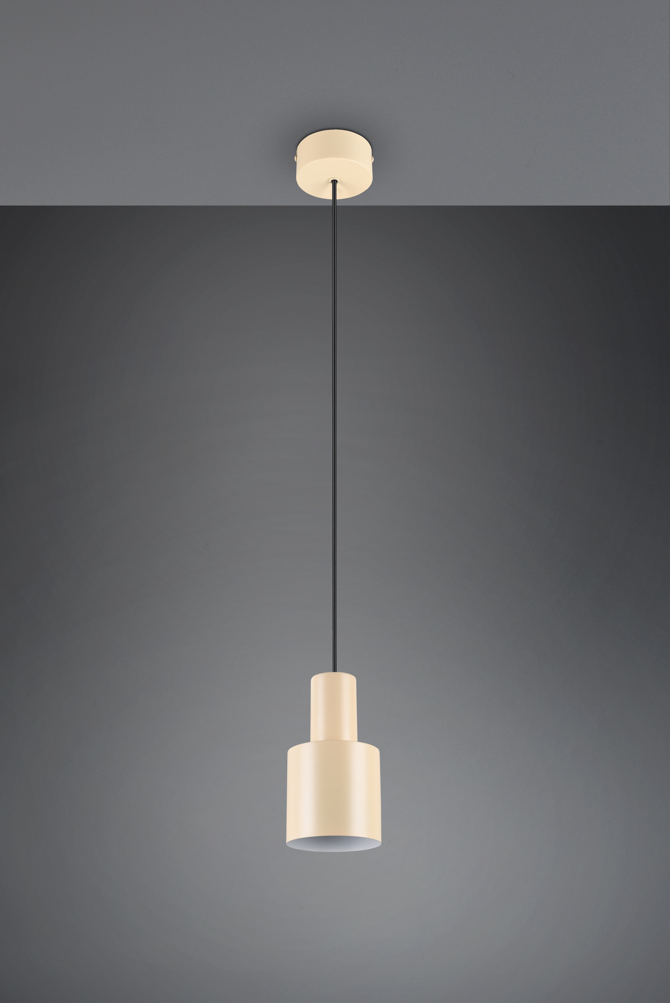 TRIO Leuchten Pendelleuchte »AGUDO, Hängelampe 1-flammig, exkl 1xE27 max 10W, höhenverstellbar«, 1 flammig, Leuchtmittel E27 | Leuchtmittel wechselbar, Hängelampe Ø 12cm, bis max 150cm Abhängung, Küche Esszimmer Wohnzimmer