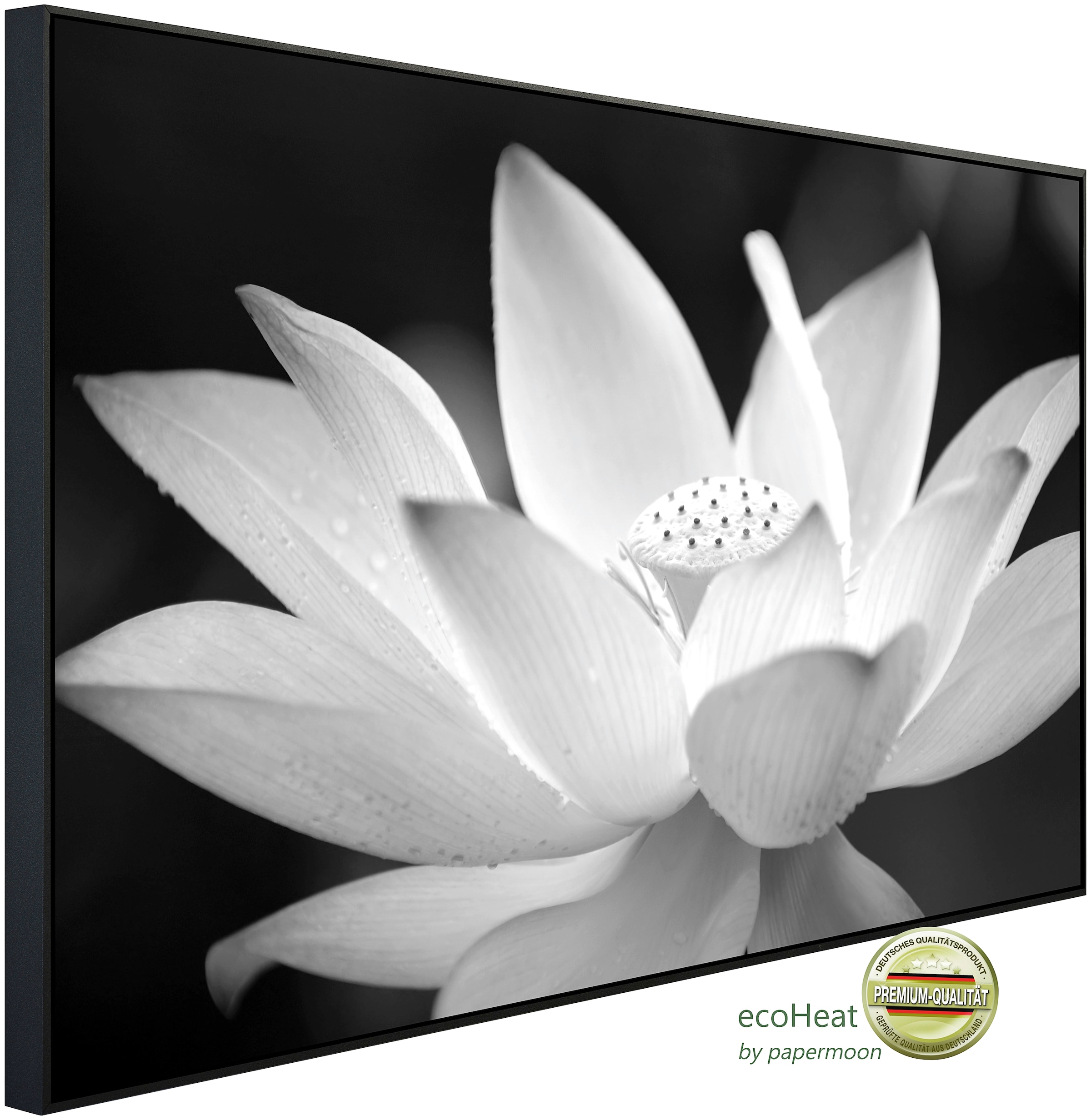 Papermoon Infrarotheizung »Blume Schwarz & Weiß«, sehr angenehme Strahlungs günstig online kaufen