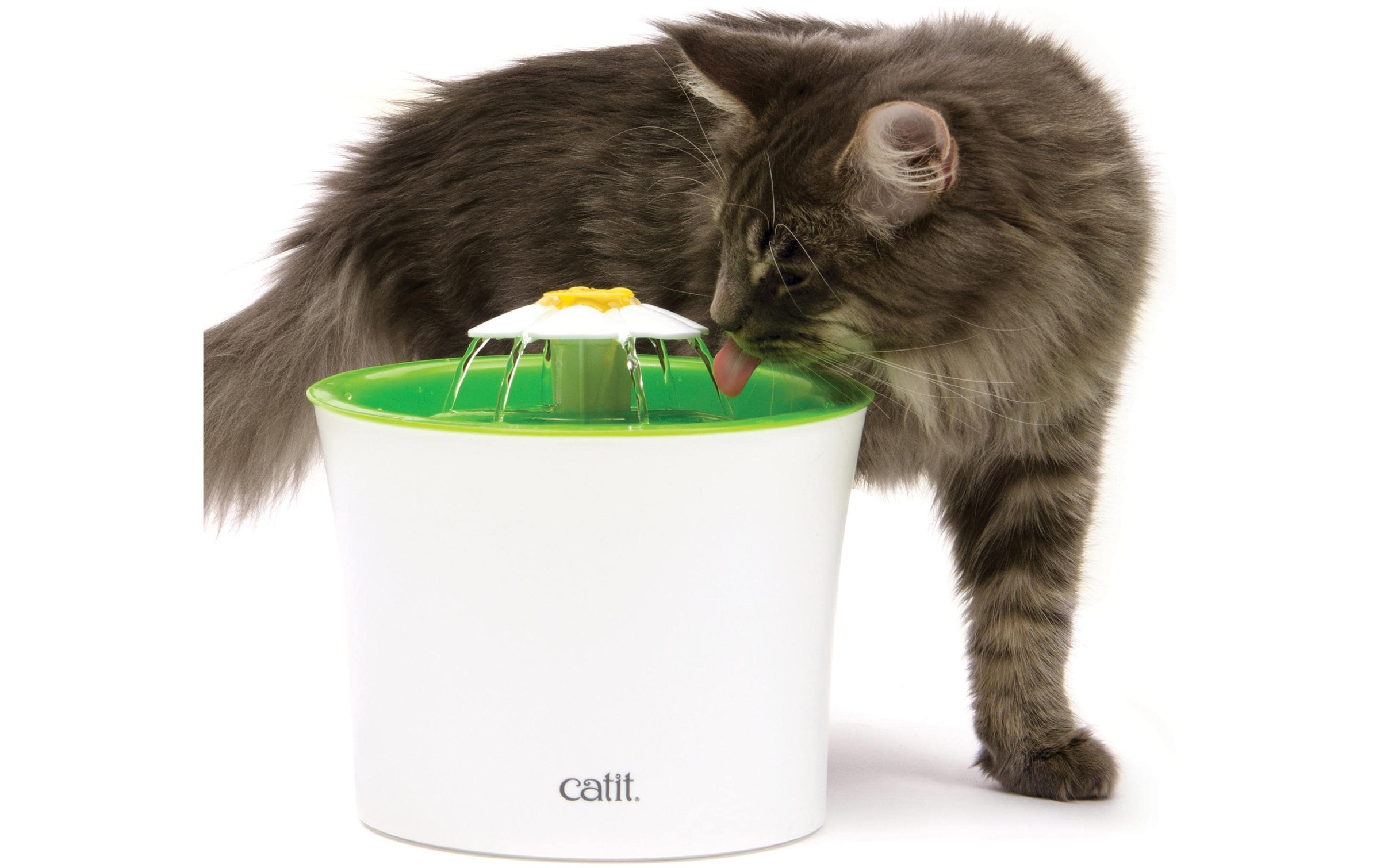 Catit Wasserspender »Senses Flower 3«
