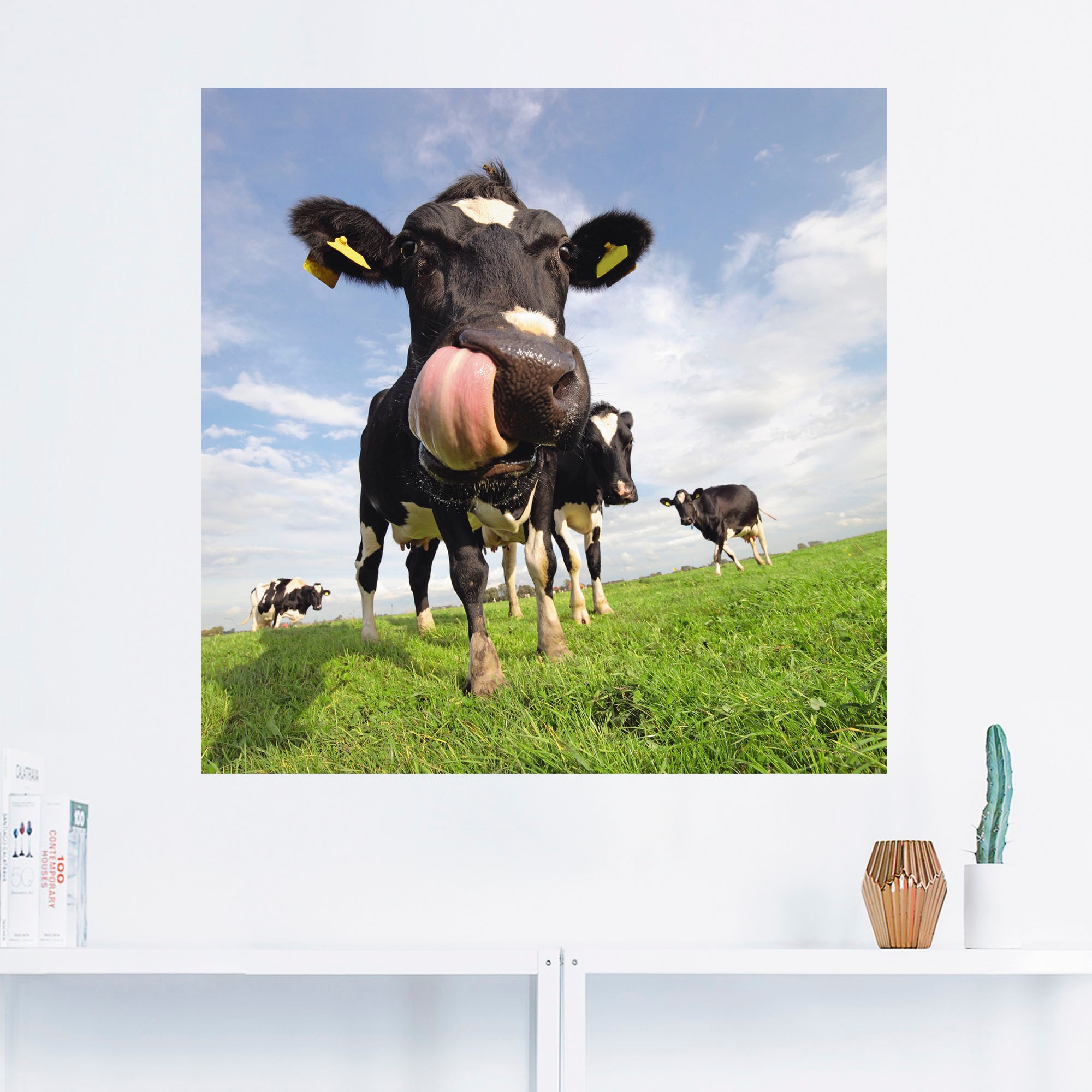 Artland Wandbild »Holstein-Kuh mit gewaltiger Zunge«, Haustiere, (1 St.), a günstig online kaufen