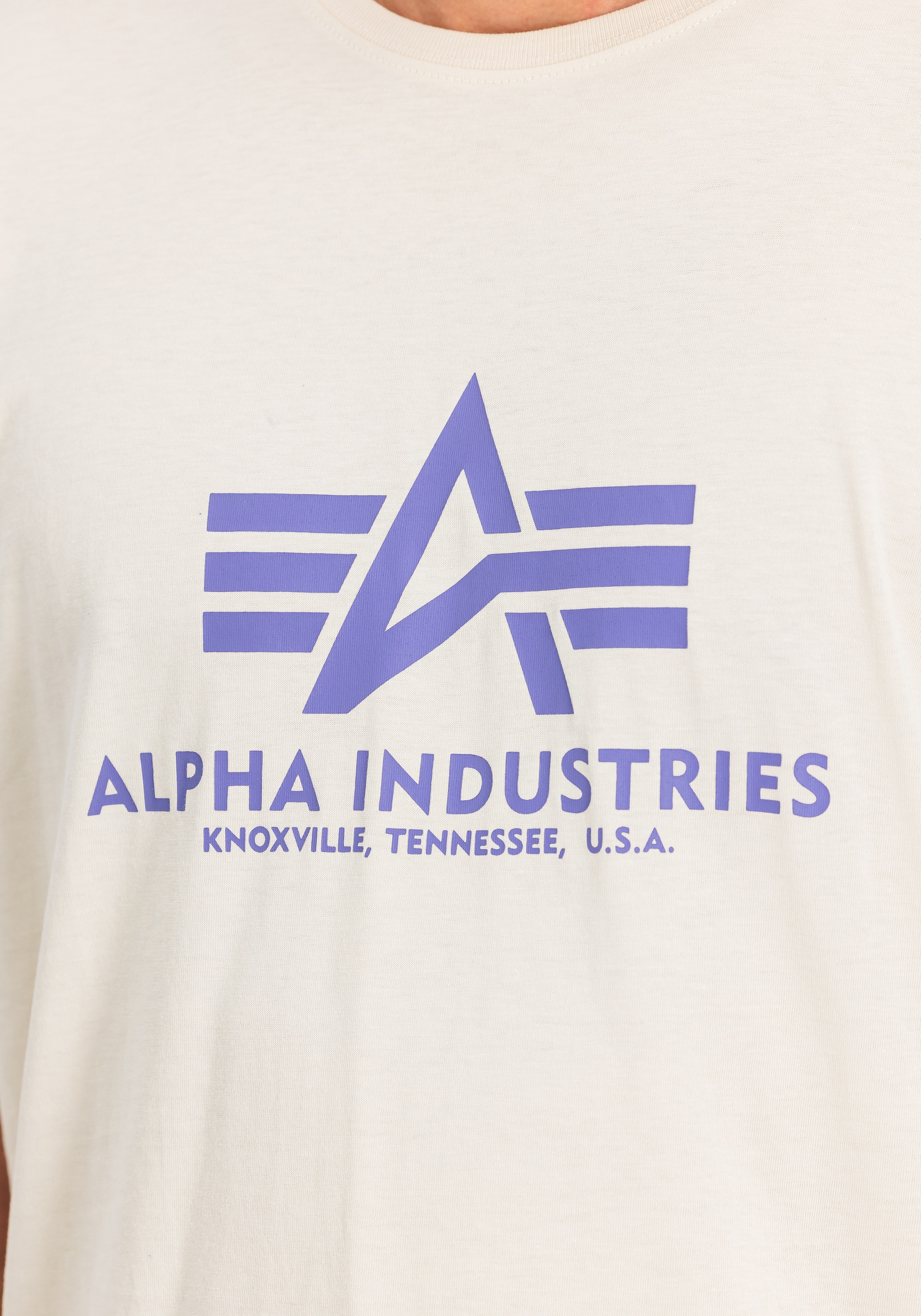 Alpha Industries T-Shirt »Basic T-Shirt BL«