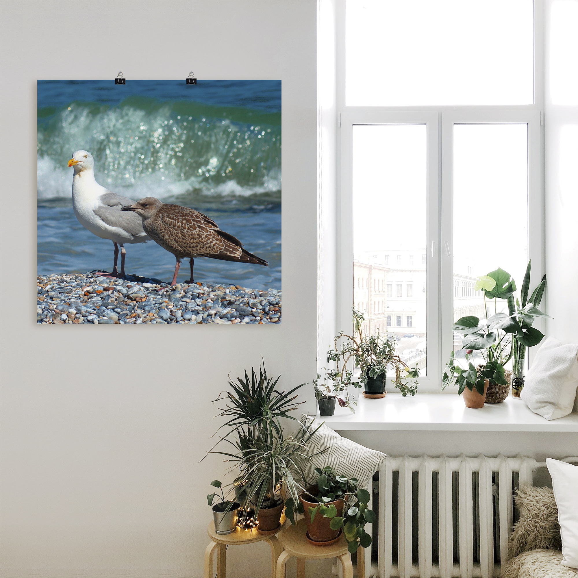 Artland Wandbild »Möwen in der Meeresbrandung«, Vögel, (1 St.), als Poster, Wandaufkleber in verschied. Größen