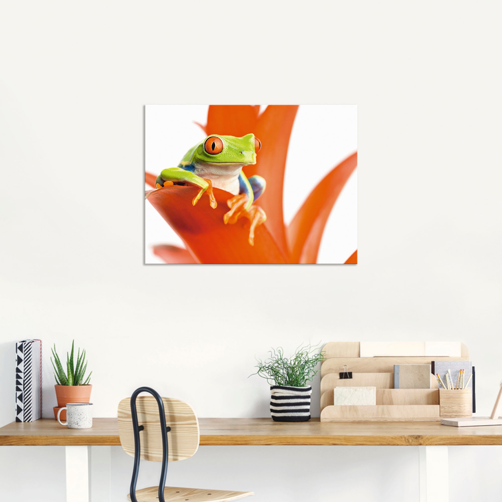 Artland Wandbild »Frosch auf seinem Thron«, Wassertiere, (1 St.), als Alubild, Leinwandbild, Wandaufkleber oder Poster in versch. Größen