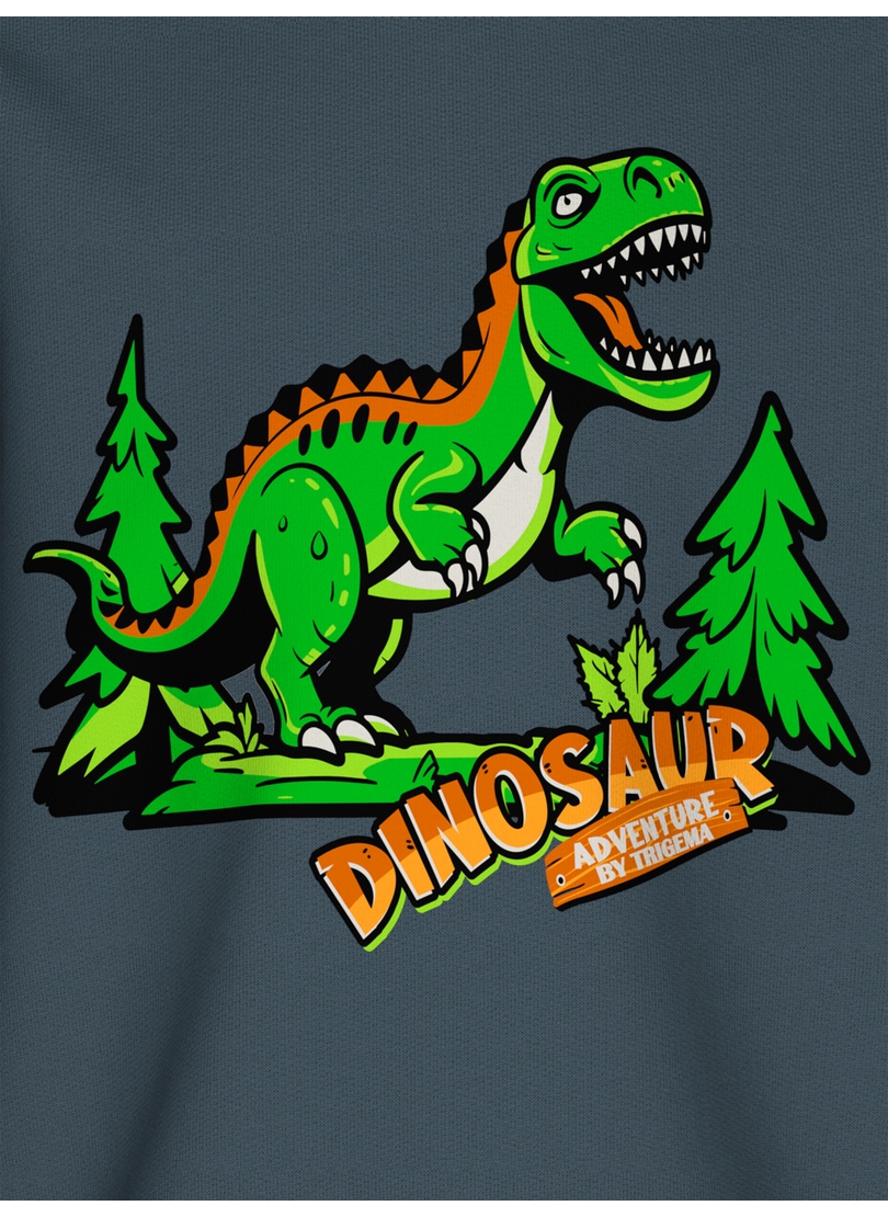 Trigema Sweatshirt »TRIGEMA Sweatshirt mit großem Dino-Printmotiv«
