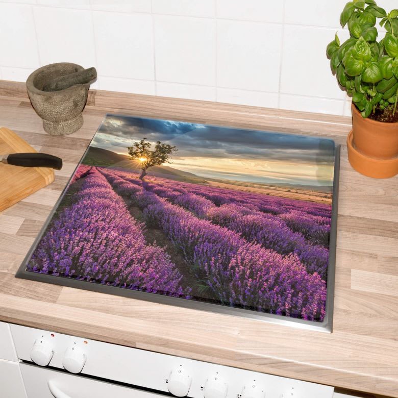 Wall-Art Herd-Abdeckplatte »Lavendel Blumen Sonnenaufgang«, (1 tlg.), moderne Schutzplatte