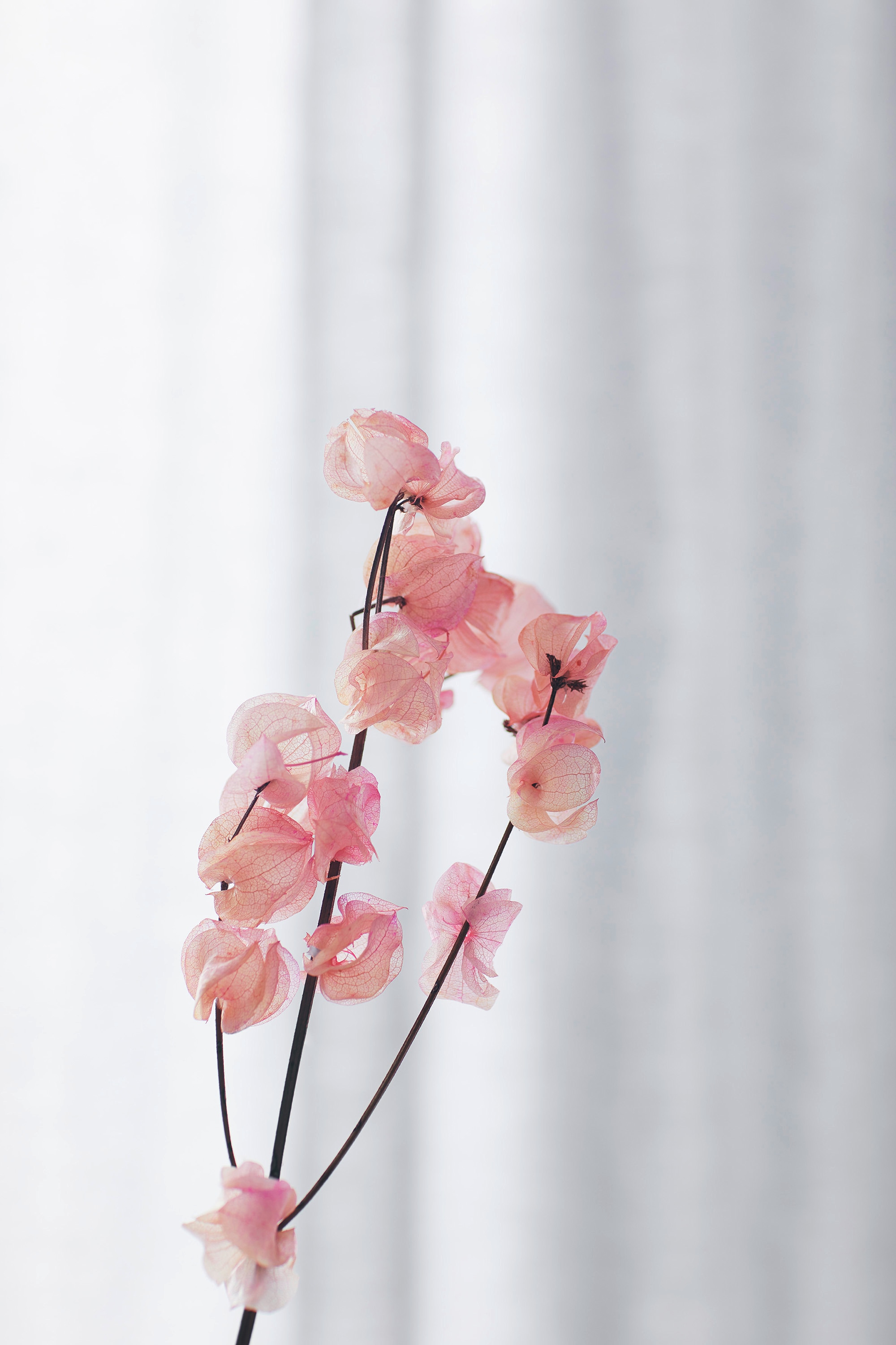 Elegante Bettwäsche »Sailor« 2 Stk. angenehmes Hautgefühl