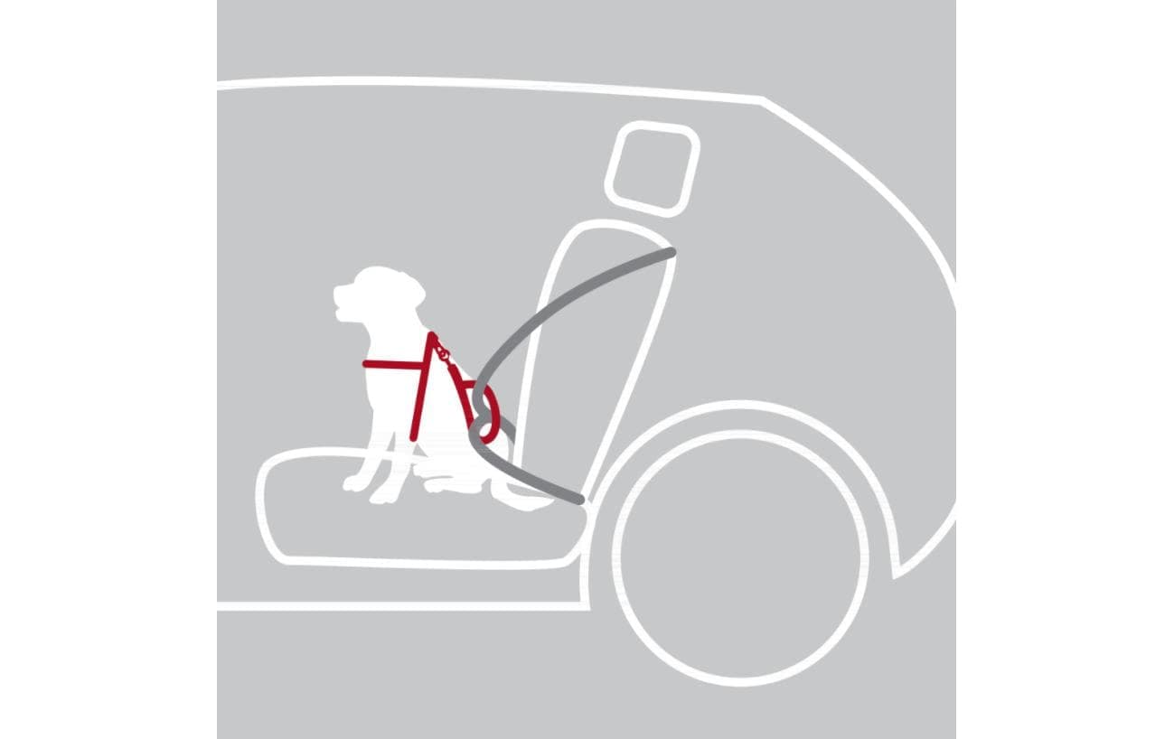 TRIXIE Hunde-Geschirr »Auto-Geschirr Dog Protect« Nylon