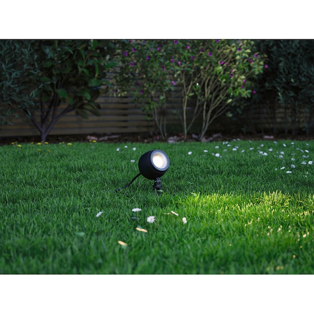 Paulmann LED Gartenleuchte »Outdoor Plug & Shine Spot Kikolo 20° 3000K  anthrazit«, 1 flammig-flammig, Outdoor Plug & Shine Spot Kikolo 20° 3000K  anthrazit auf Raten kaufen
