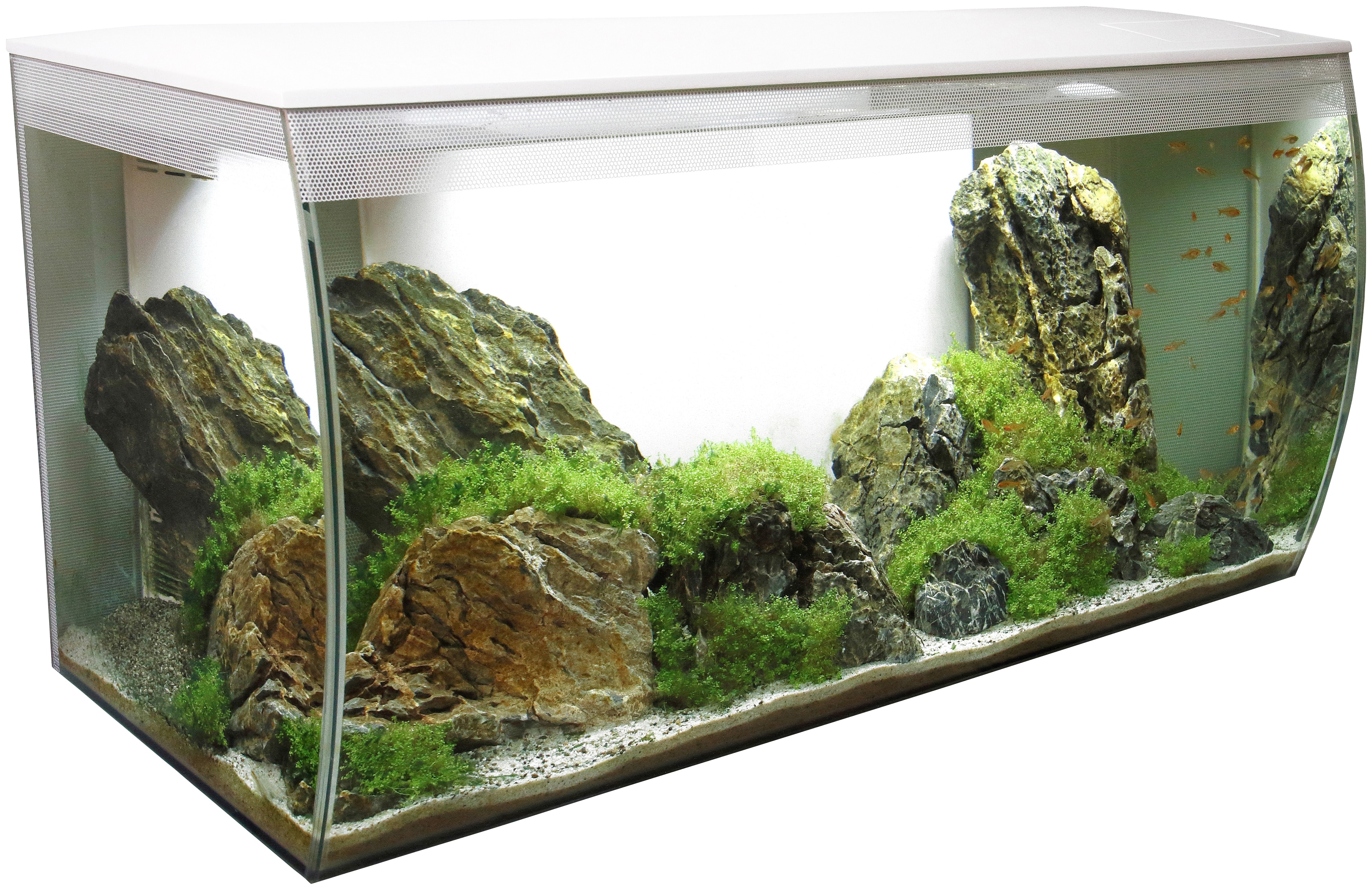 Aquarium „FLEX 123“, BxTxH: 82x40x39 cm, 123 Liter weiß B/H/T: 82 cm x 39 cm x 40 cm