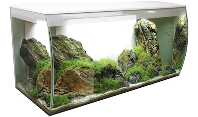 FLUVAL Aquarium »FLEX 123«, BxTxH: 82x40x39 cm, 123 Liter kaufen