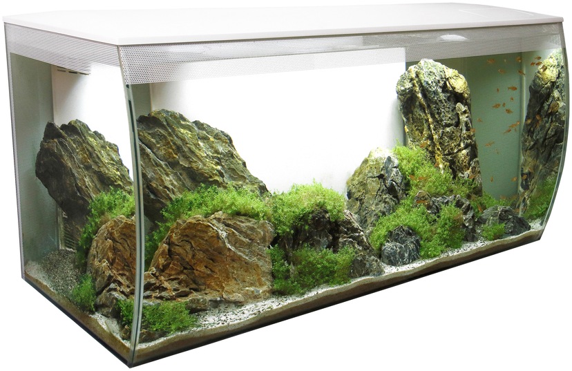 Tetra Aquariumunterschrank »AquaArt Explorer LED«, 75,5x38,4x12 cm BxTxH: online kaufen