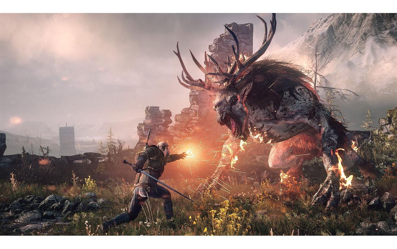 BANDAI NAMCO Spielesoftware »The Witcher 0,125 Wild Hunt, Switch« Nintendo Switch