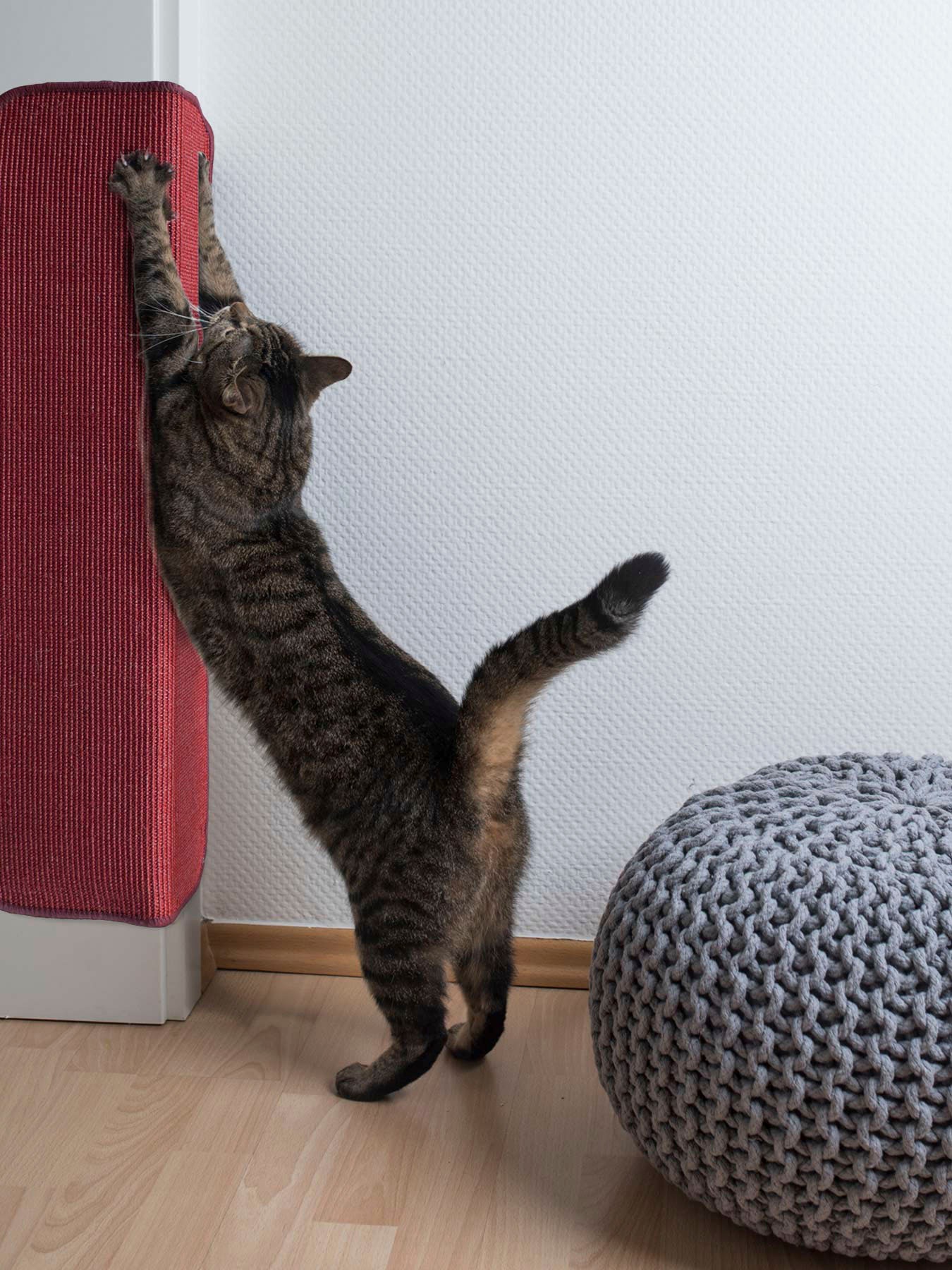 Kratzbrett "Katzen-Kratzmatte SISALLUX, Made in Netherlands", rot, B/H/L: 100cm x 0,6cm x 200cm