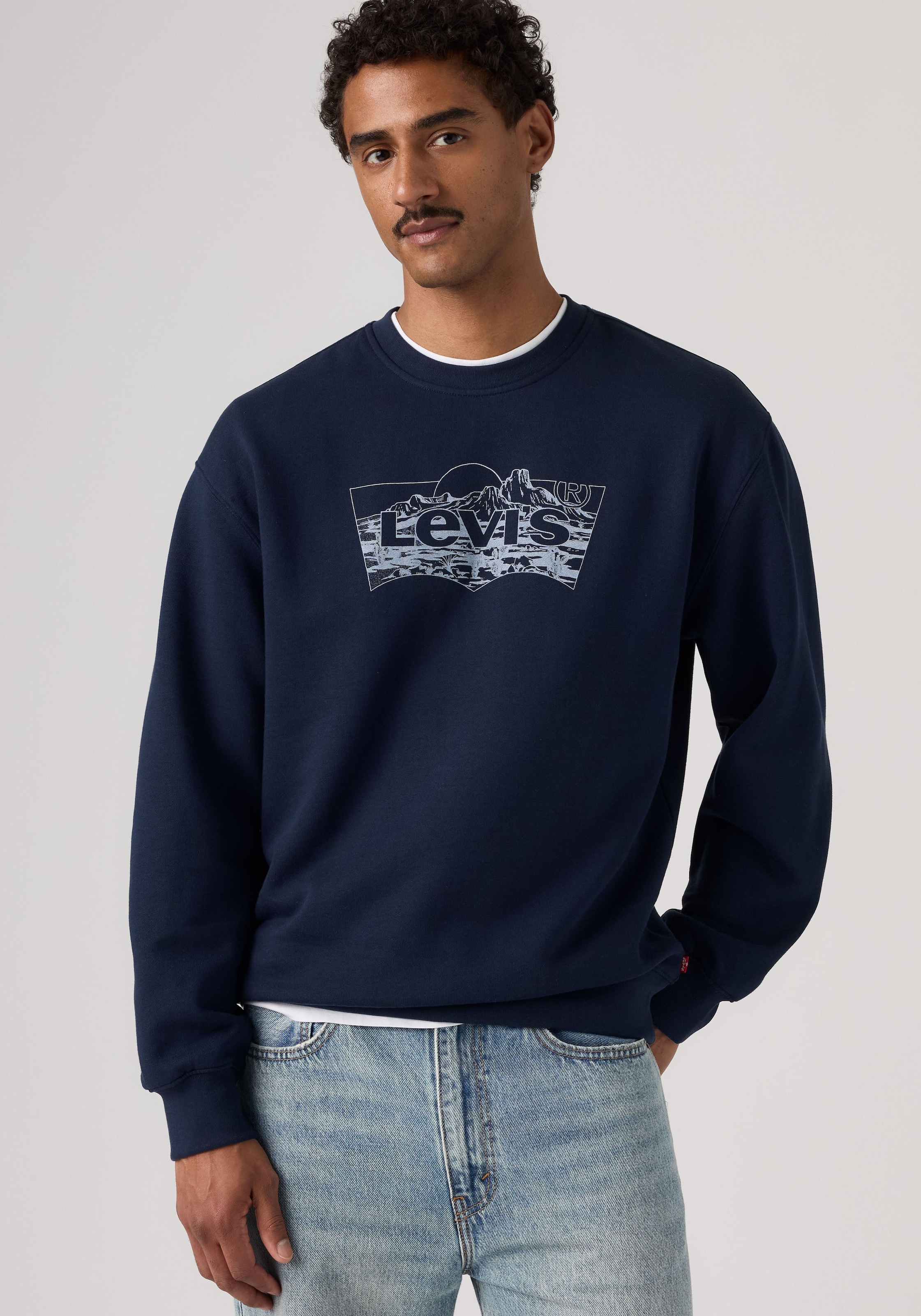 Levi's® Sweatshirt »RELAXD GRAPHIC CREW NEUTRALS«
