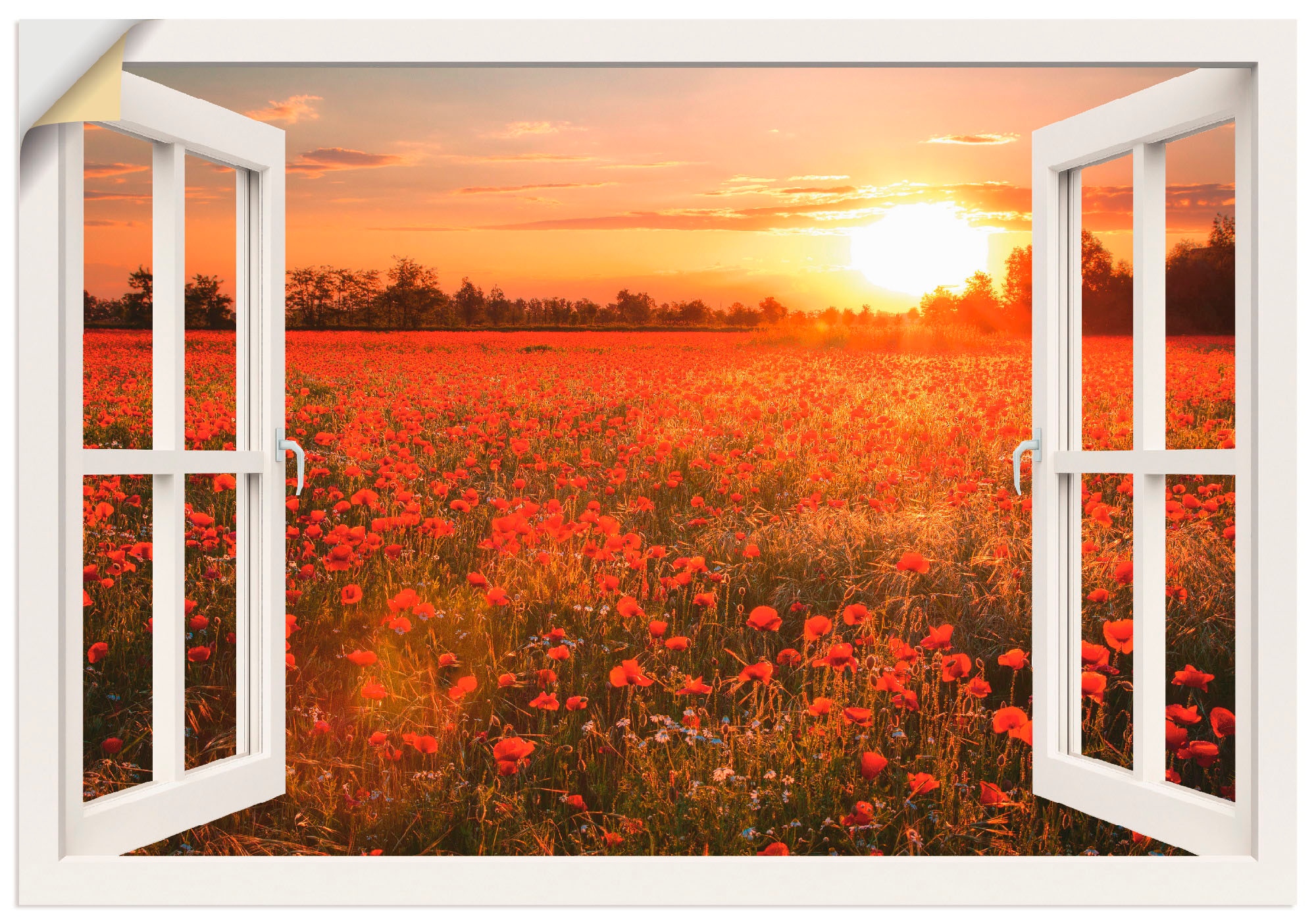 Artland Wandbild "Fensterblick Mohnblumenfeld", Blumen, (1 St.), als Leinwa günstig online kaufen