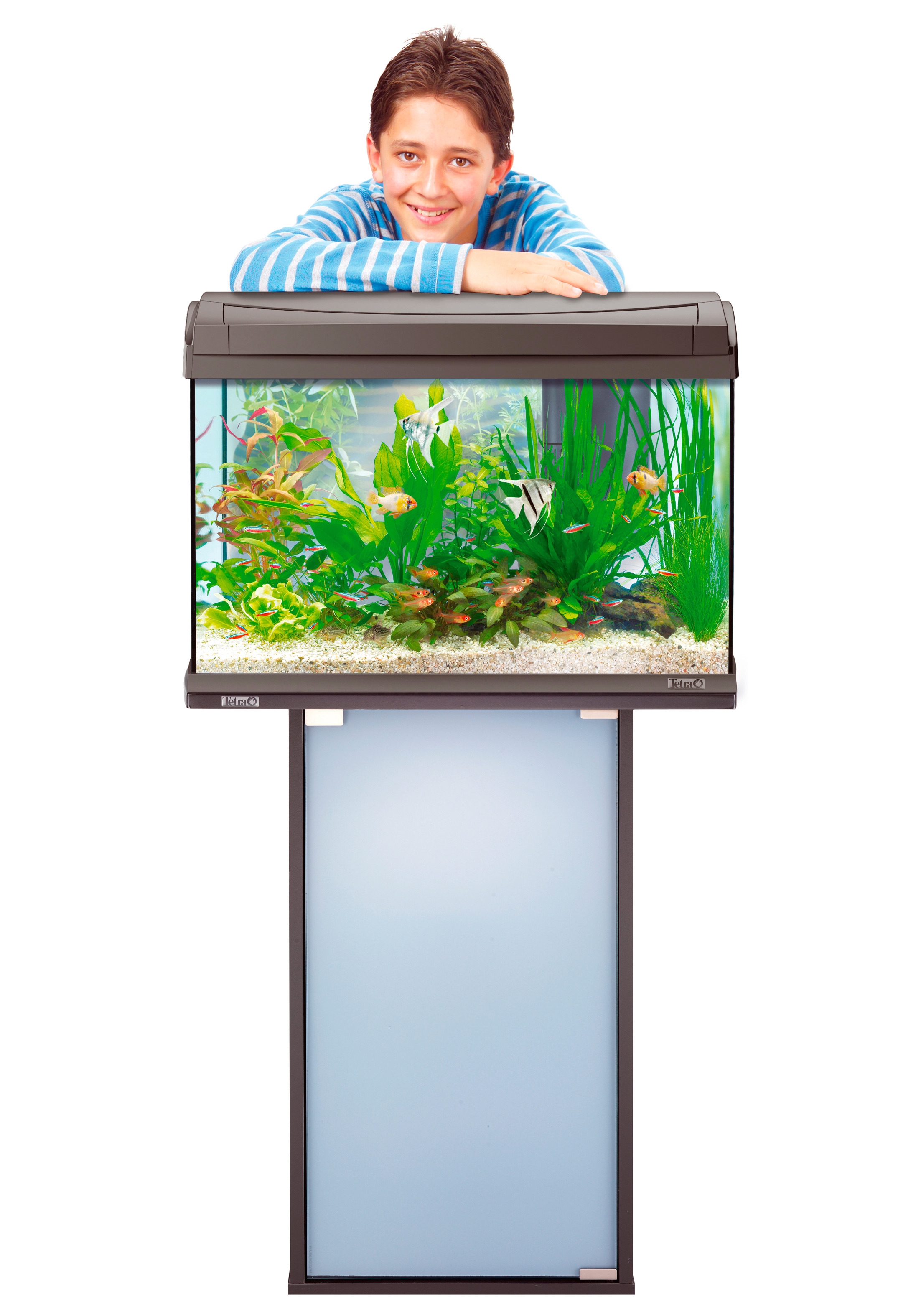 cm Aquariumunterschrank kaufen 61,5x31,6x72,5 online BxTxH: »AquaArt«, Tetra