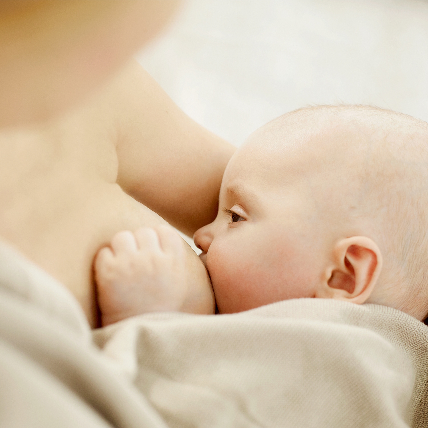 WELEDA Massageöl »Weleda Brust-Massageöl«