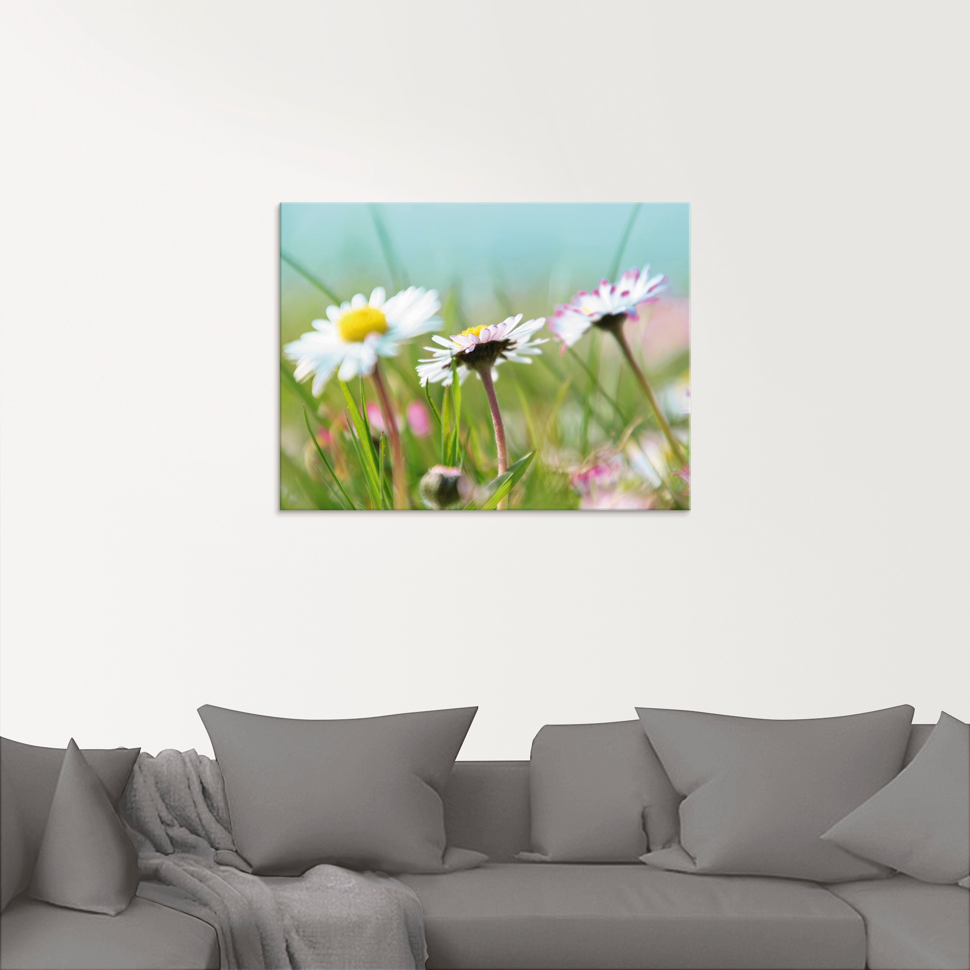 Artland Glasbild "Gänseblümchen Romantik", Blumen, (1 St.), in verschiedene günstig online kaufen