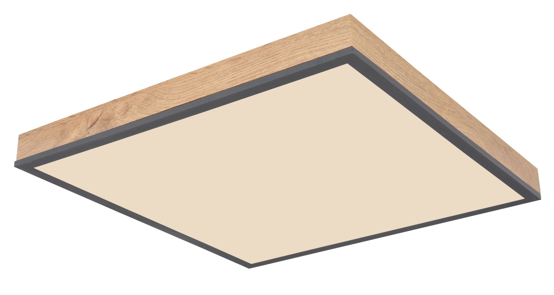 GLOBO LIGHTING LED Deckenleuchte »DORO«, 1 flammig, Leuchtmittel LED-Modul günstig online kaufen