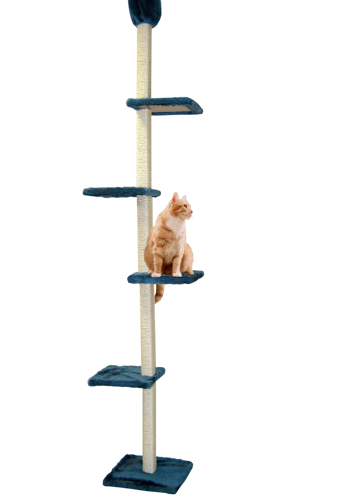Bild von SILVIO design Kratzbaum »Superior«, hoch, BxTxH: 50x36x230-260 cm