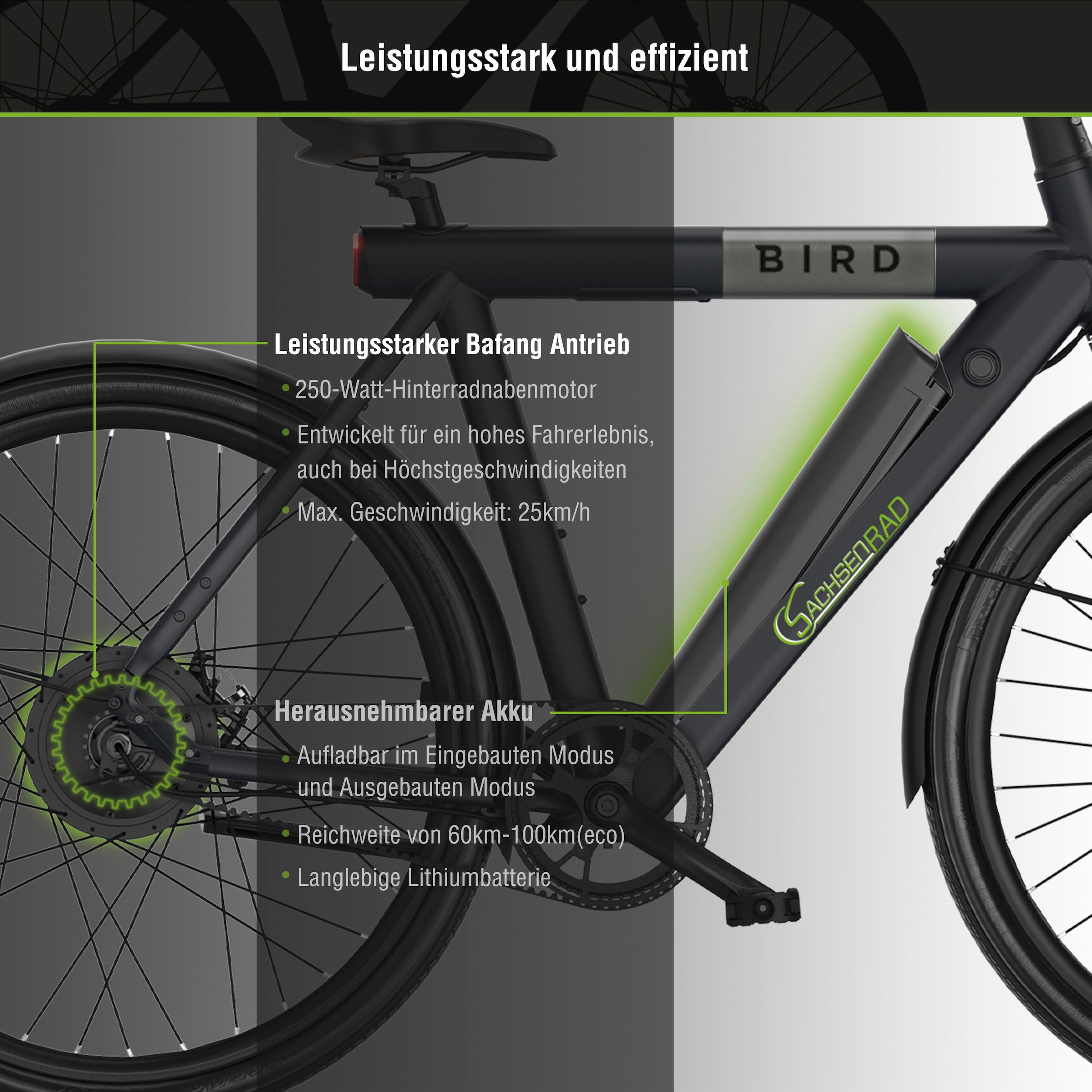 SachsenRad »C6R« 1 Gang ohne Schaltung Heckmotor 250 W Pedelec, Elektrofahrrad für Damen und Herren