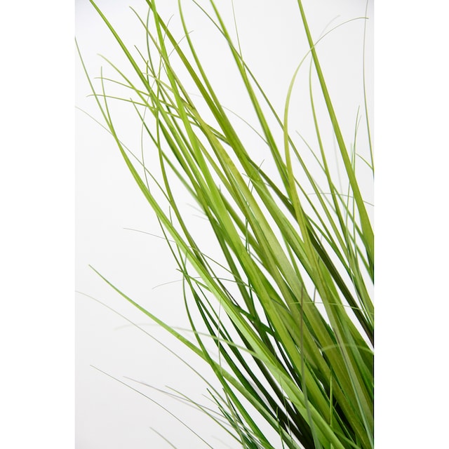I.GE.A. Kunstpflanze »Grasbusch«, Dekogras auf Rechnung kaufen