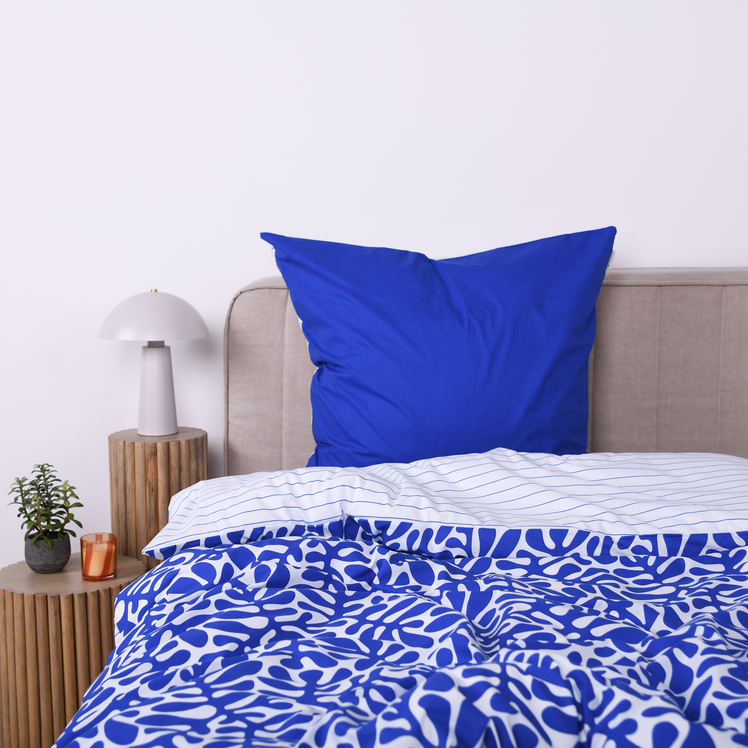 TOM TAILOR HOME Bettwäsche »ORGANIC LEAVES in Gr. 135x200cm, 155x220cm oder 200x220cm«, new bedroom, mit farbigem Markenreißverschluss
