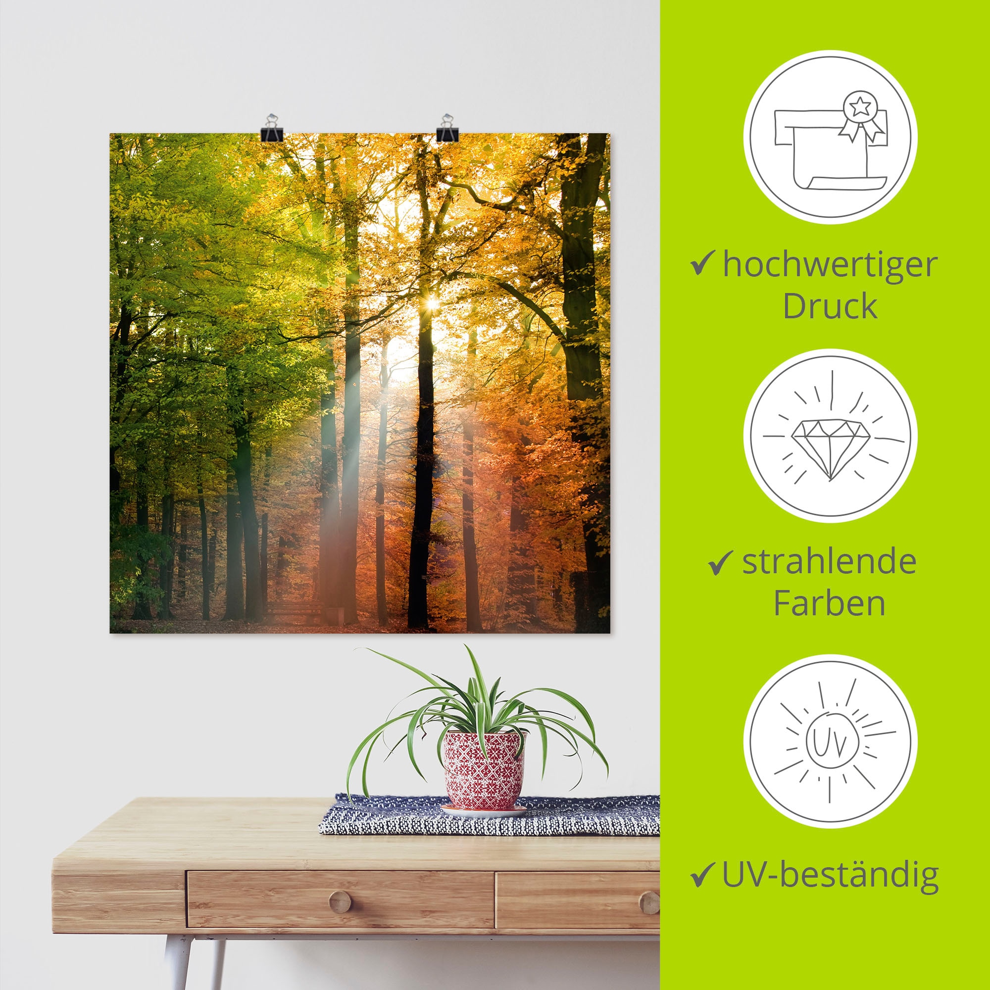 Artland Wandbild »Schöner Herbsttag 2«, Wald, (1 St.), als Alubild, Outdoorbild, Leinwandbild, Poster in verschied. Größen