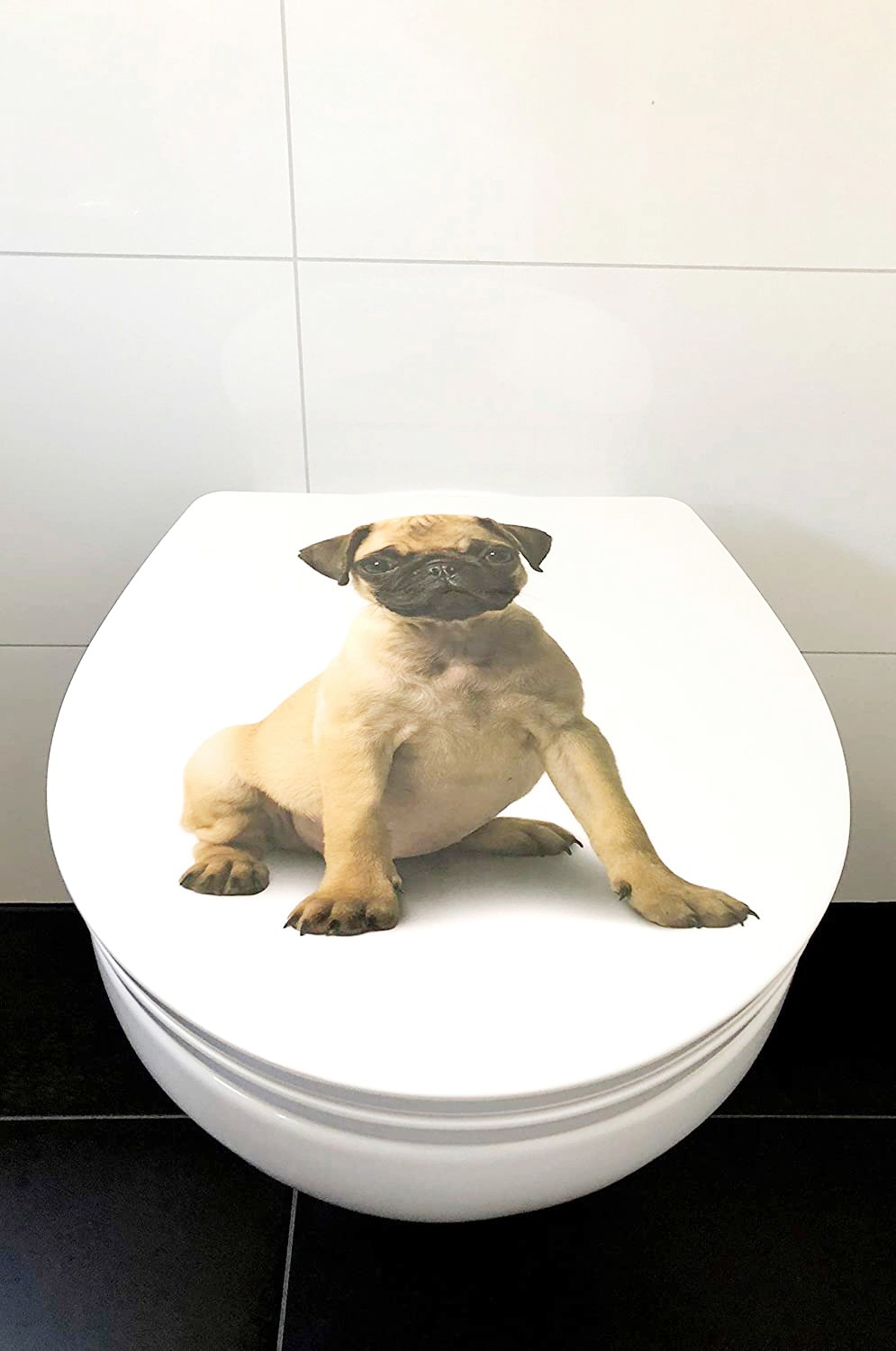 ADOB WC-Sitz »Mops«, Absenkautomatik, zur Reinigung auf Knopfdruck abnehmbar